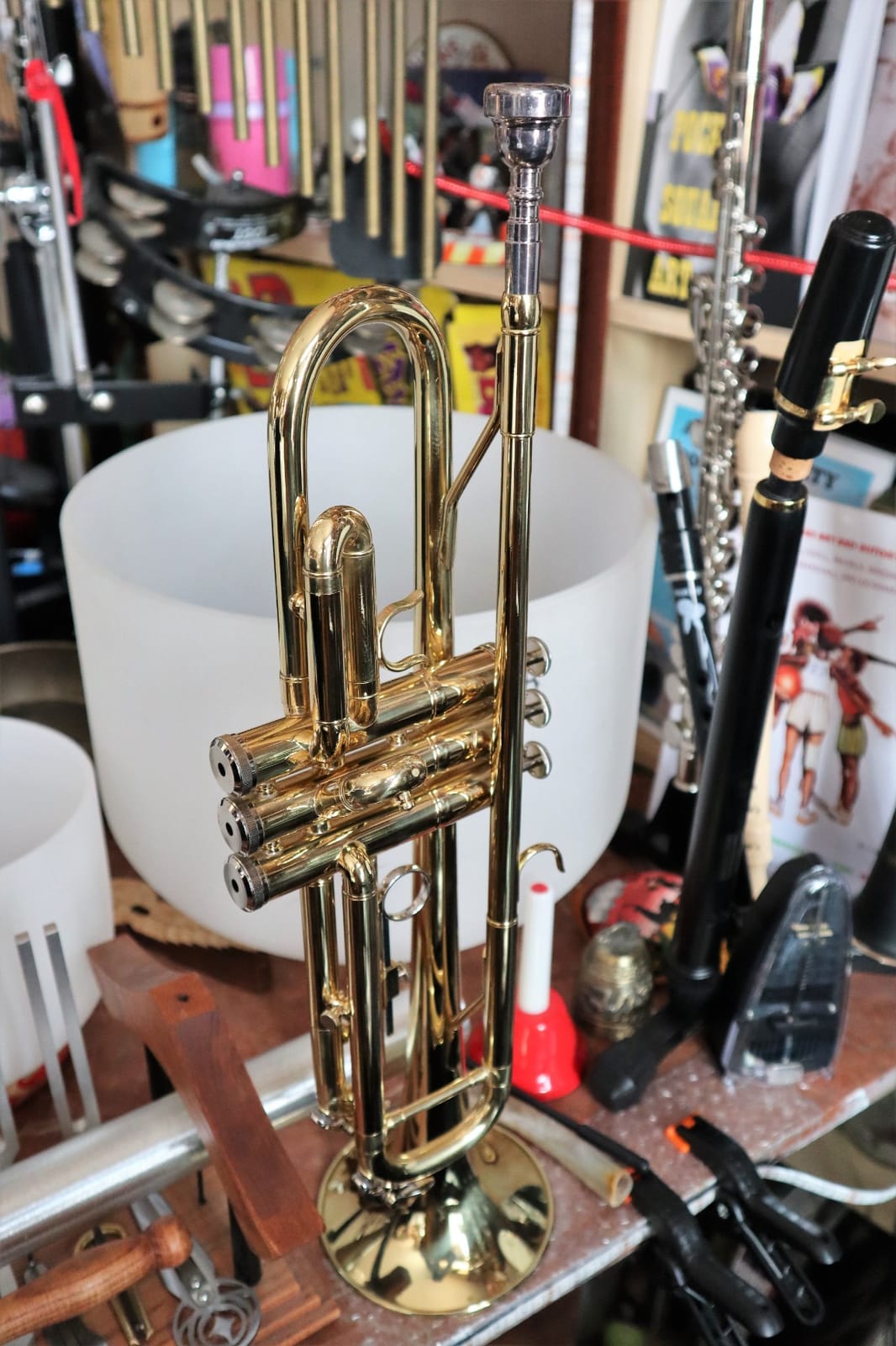 Student Bb Trumpet, Silver Finish Brass for School Band Orchestra Beginners | 7C Mouthpiece, Stainless Steel Valves, Adjustable 3rd Valve Ring, Hard Case, Cleaning Kit, White Gloves customer photo 2
