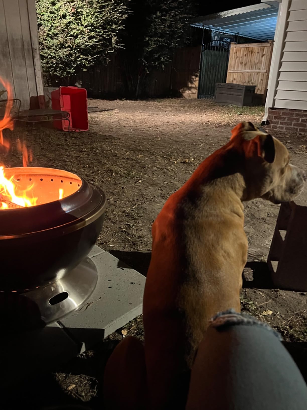 Cuisinart Outdoor Fire Pit, Cleanburn Smokeless System, Wood Burning, 24