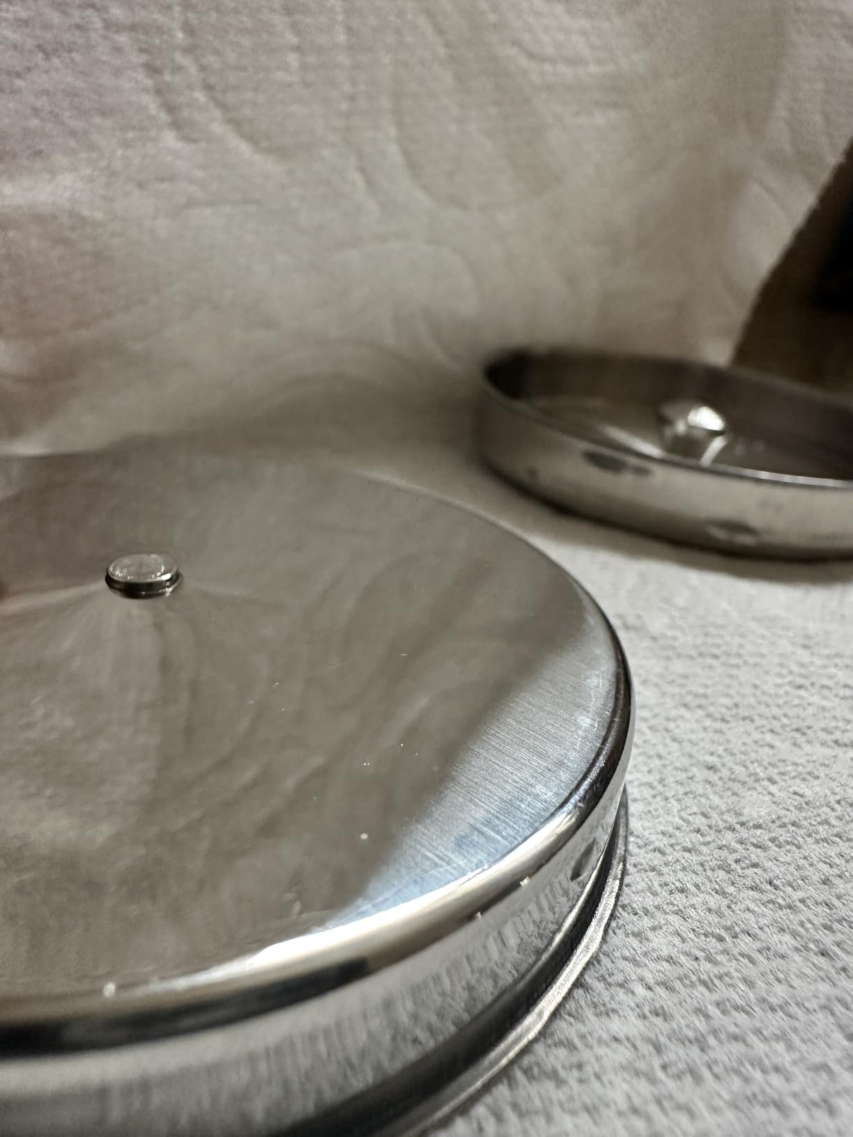 Tyenaza Tea Canister, Double Seal Stainless Steel Tea Tin Canister with Airtight Double Lids for Loose Tea Coffee Candy Herbs and Spices Storage(l) customer photo 1