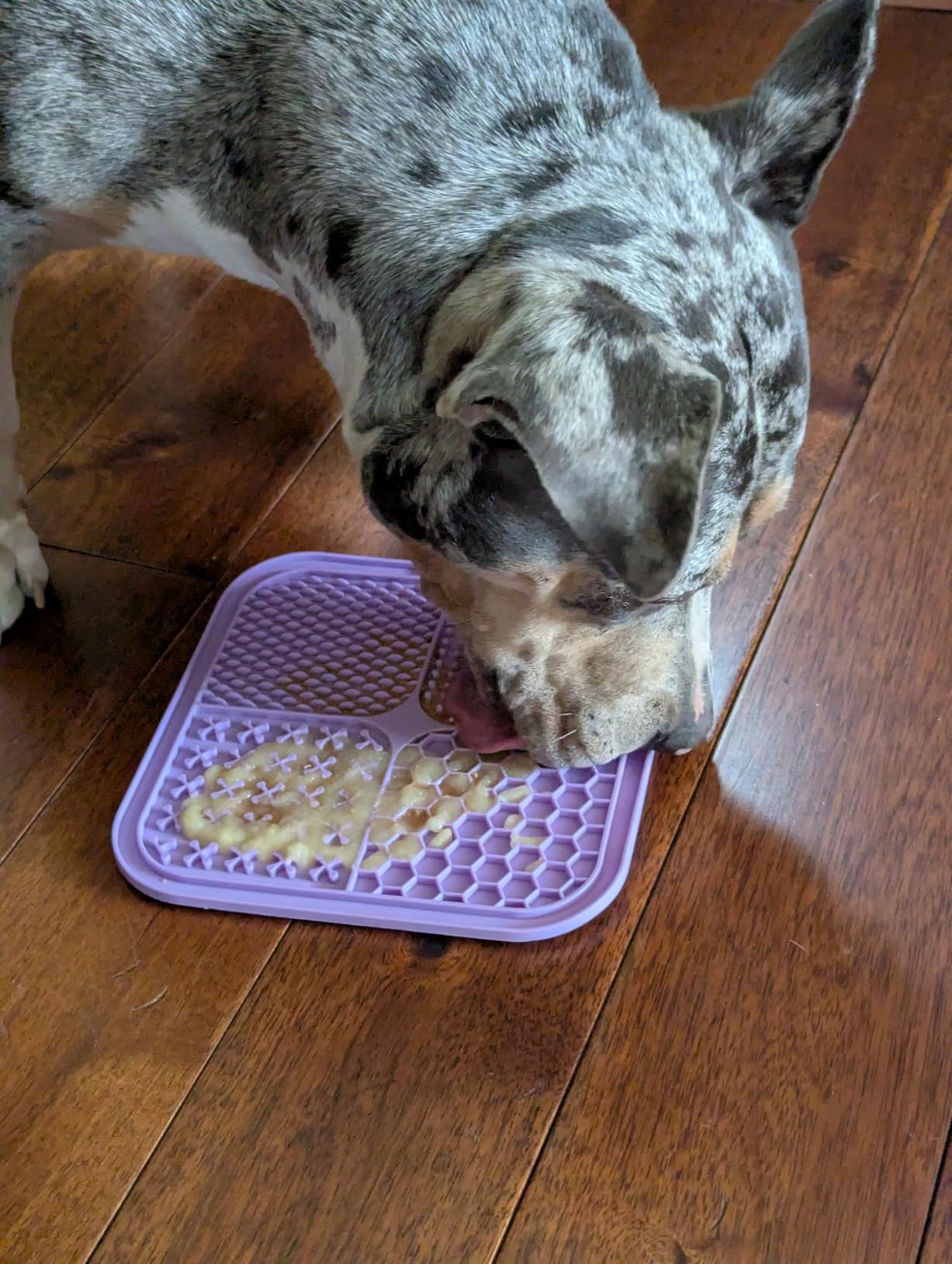 LUKITO Lick Mat for Dogs & Cats 2 Pack, Slow Feeder Licking Pad with Suction Cups for Anxiety Relief and Boredom Reducer, Perfect for Bathing Grooming customer photo 1
