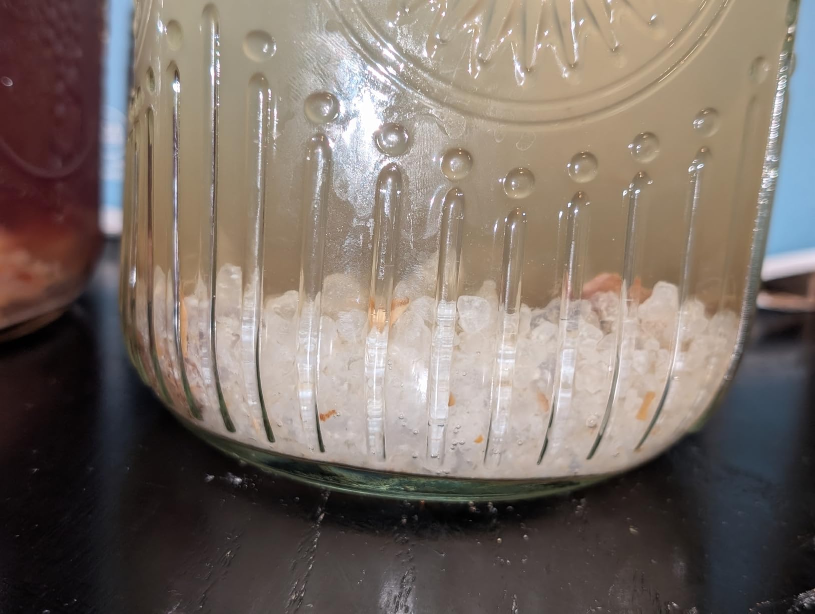 Natural Probio Water Kefir Grains - Starter Culture Kit with Complete Guide, Recipe & Tips + Ebook Library Access + Customer Support customer photo 1