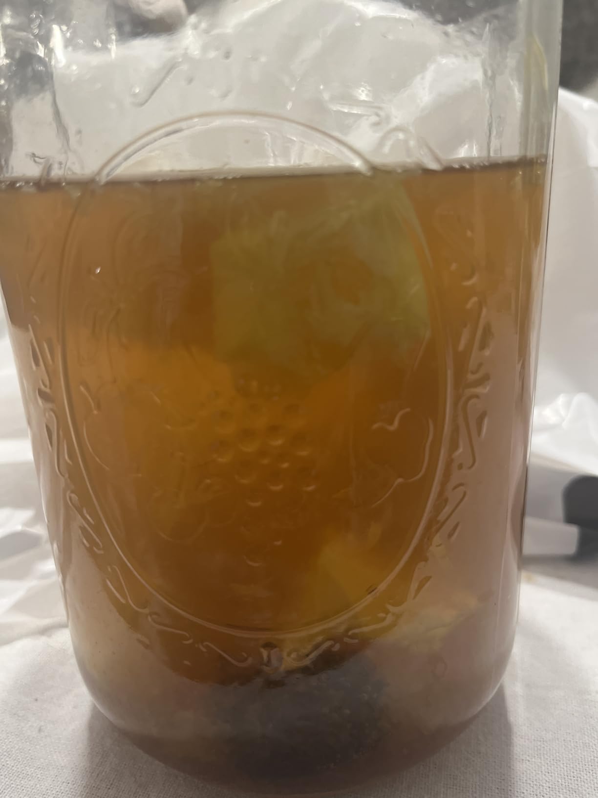 Natural Probio Water Kefir Grains - Starter Culture Kit with Complete Guide, Recipe & Tips + Ebook Library Access + Customer Support customer photo 2