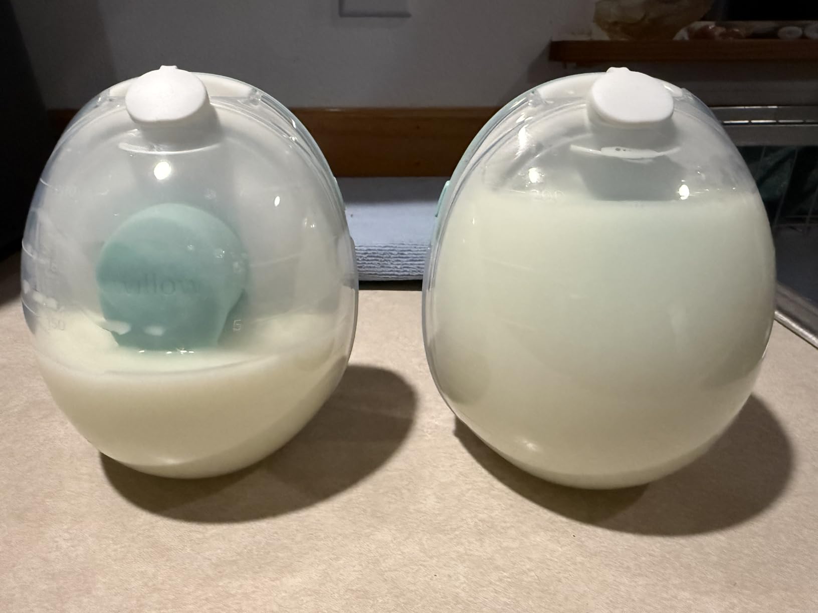 Willow Go Wearable Breast Pump, Hands Free Double Electric Breast Pump, Wireless In-Bra Design with 15 level Hospital Grade Suction customer photo 1