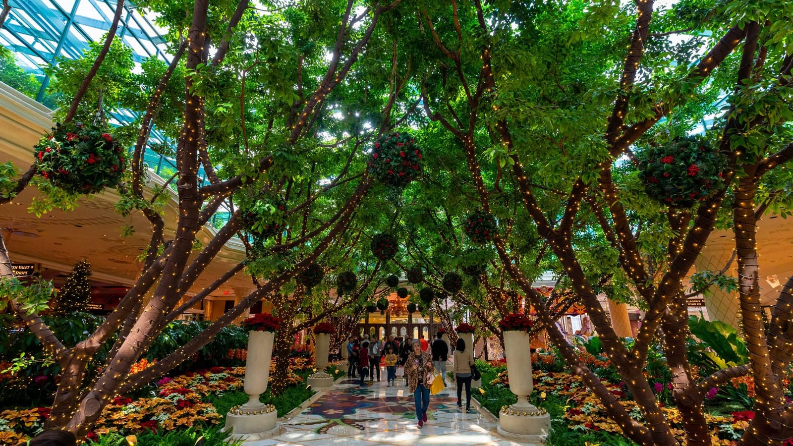 Sony E 11mm F1.8 APS-C Ultra-Wide-Angle Prime Lens for Sony E Mount Mirrorless Cameras customer photo 1