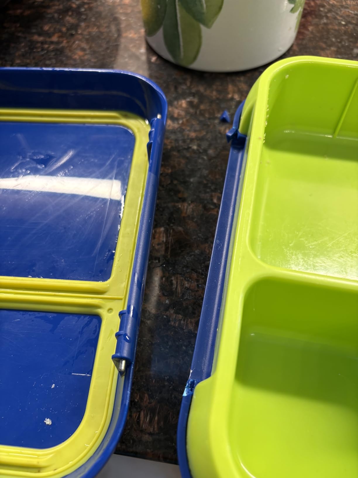 Bentgo Pop Leak-Proof 3-4 Compartment Bento-Style Lunch Box | For Kids Ages 8+ & Teens, 5-Cup Capacity, Removable Divider, Microwave & Dishwasher Safe, BPA-Free (Navy Blue/Chartreuse) customer photo 1