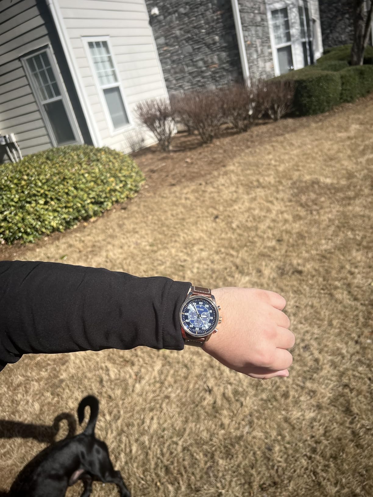 Citizen Men's Eco-Drive Chronograph Sport Casual Watch customer photo 2