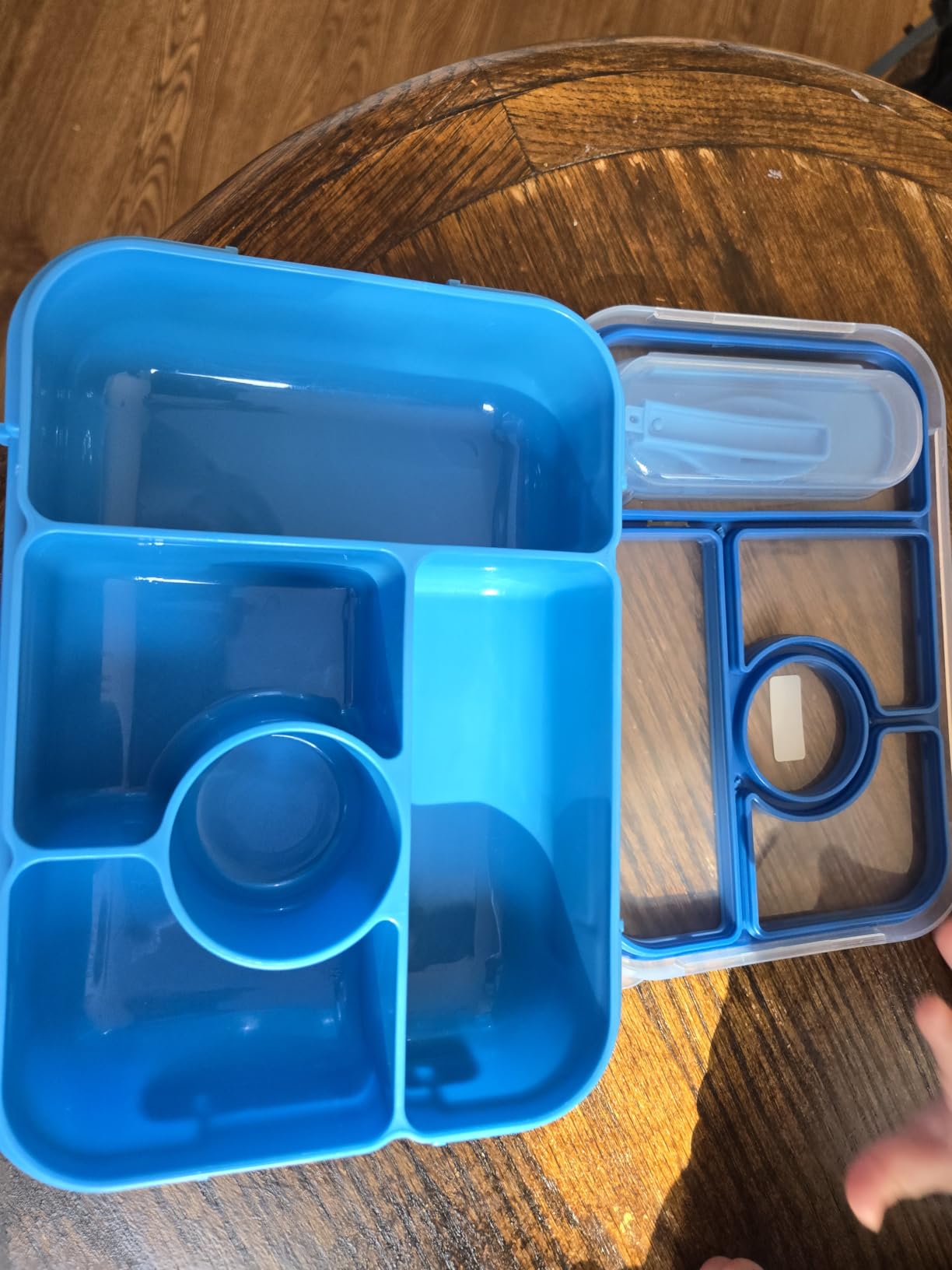 Amathley Bento Box Adult Lunch Box Kids, Lunch Containers for Adults/Kids/Toddler, 5 Compartments Bento Lunch Box with Sauce Containers, Microwave & Dishwasher & Freezer Safe, BPA-Free (Blue) customer photo 2