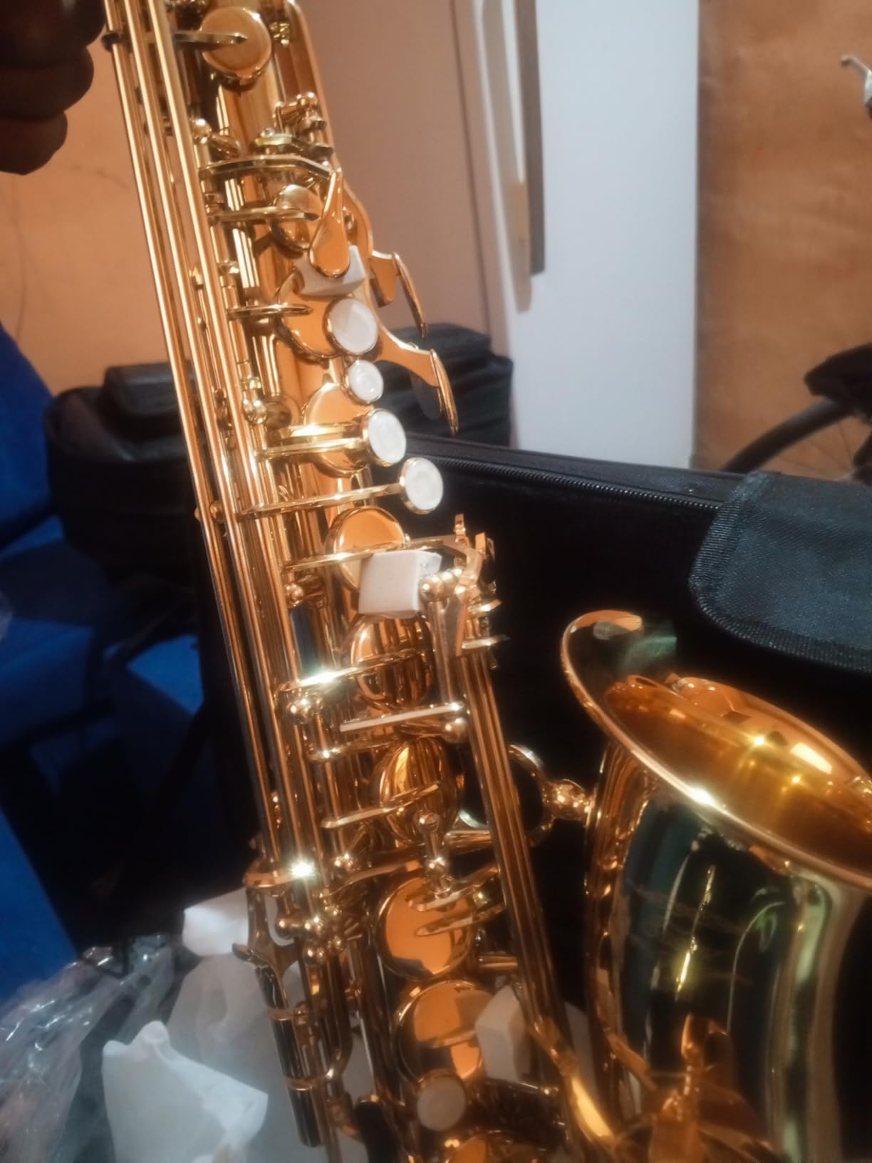 Eastar Advanced Alto Saxophone Eb Upgraded Sax, Golden Full Kit, EAX-21 customer photo 1
