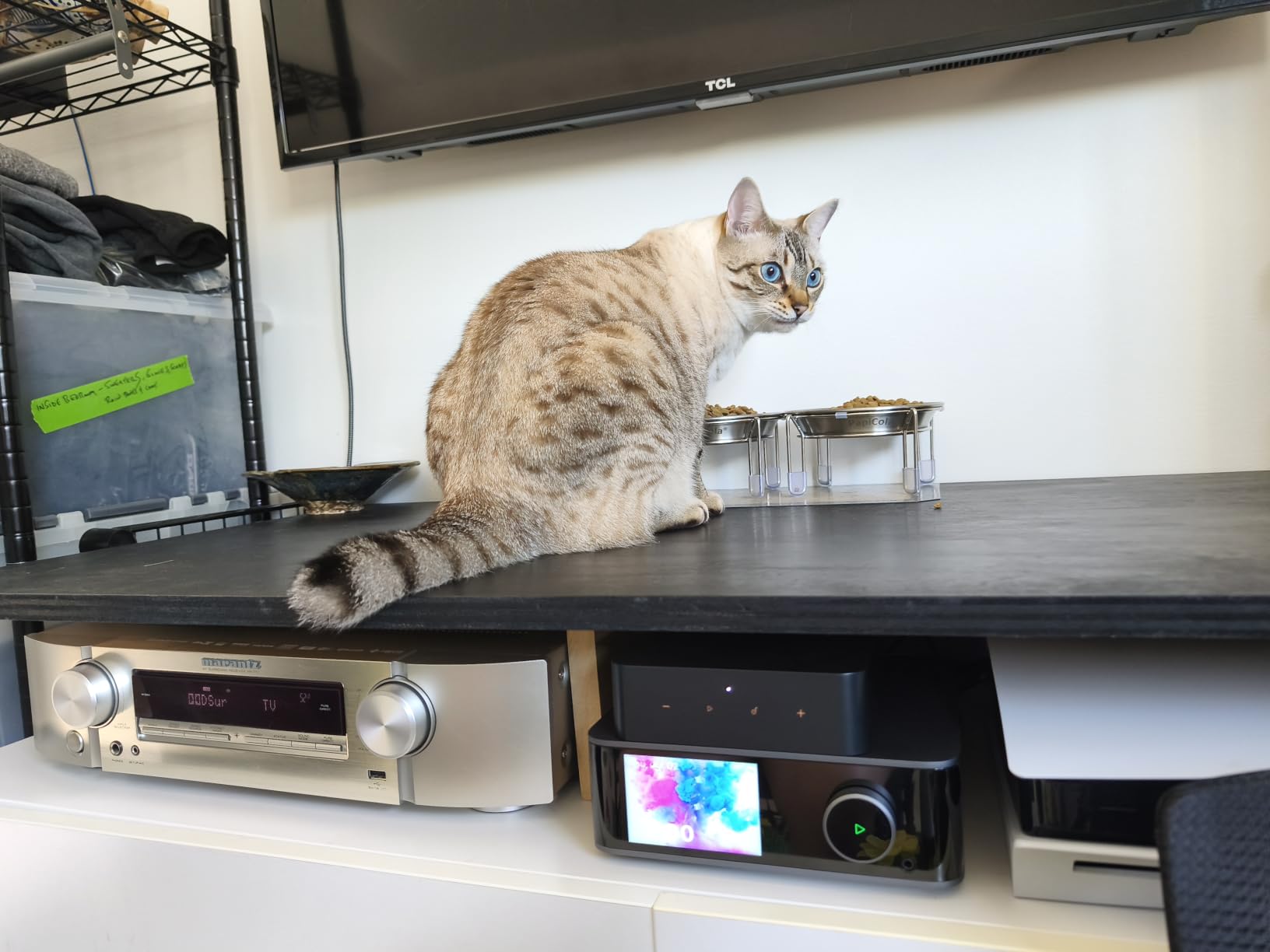 WiiM Pro Music Streamer to Upgrade Stereo with AirPlay 2, Spotify Connect, Hi-Res Streaming, AirPlay 2, Spotify Connect, Roon Ready, and Whole-Home Audio Control customer photo 2