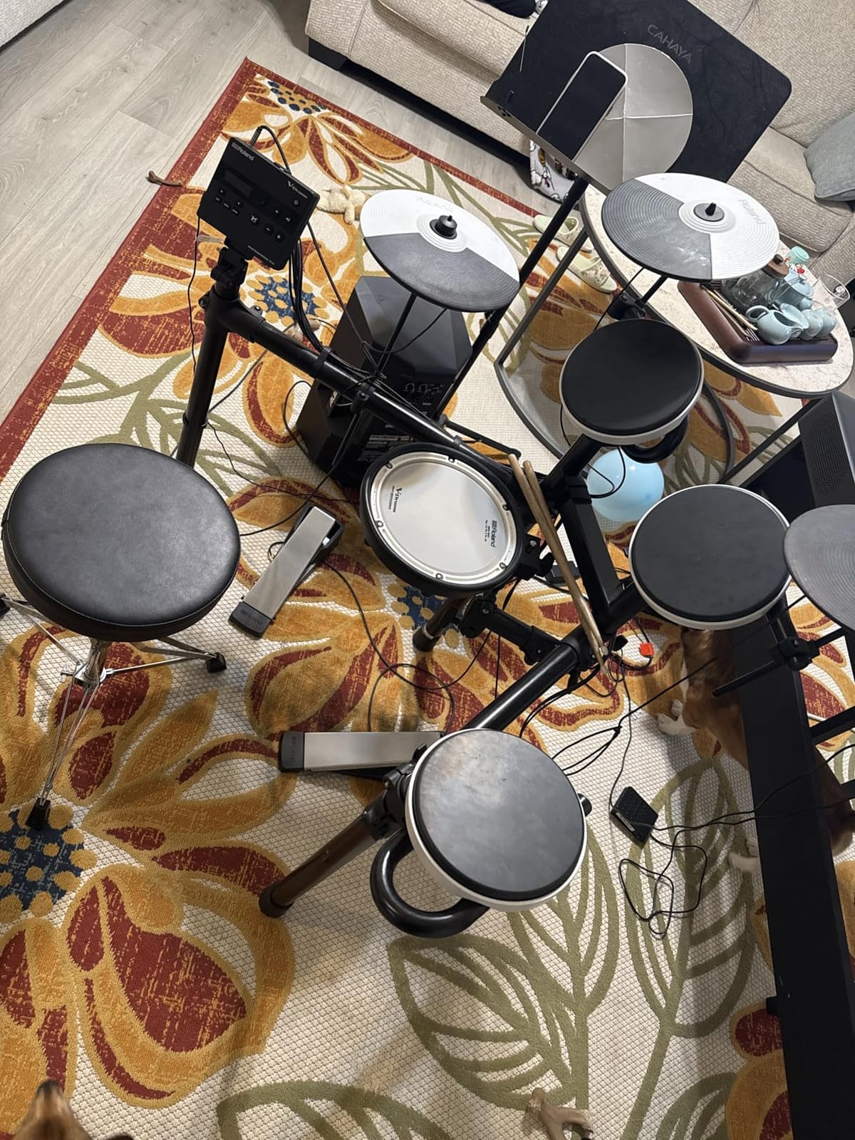 Roland TD-02KV V-Drums Electronic Drum Kit | Kit with Expressive Playability, Noise-Reducing Features, Mesh-Head Snare customer photo 2