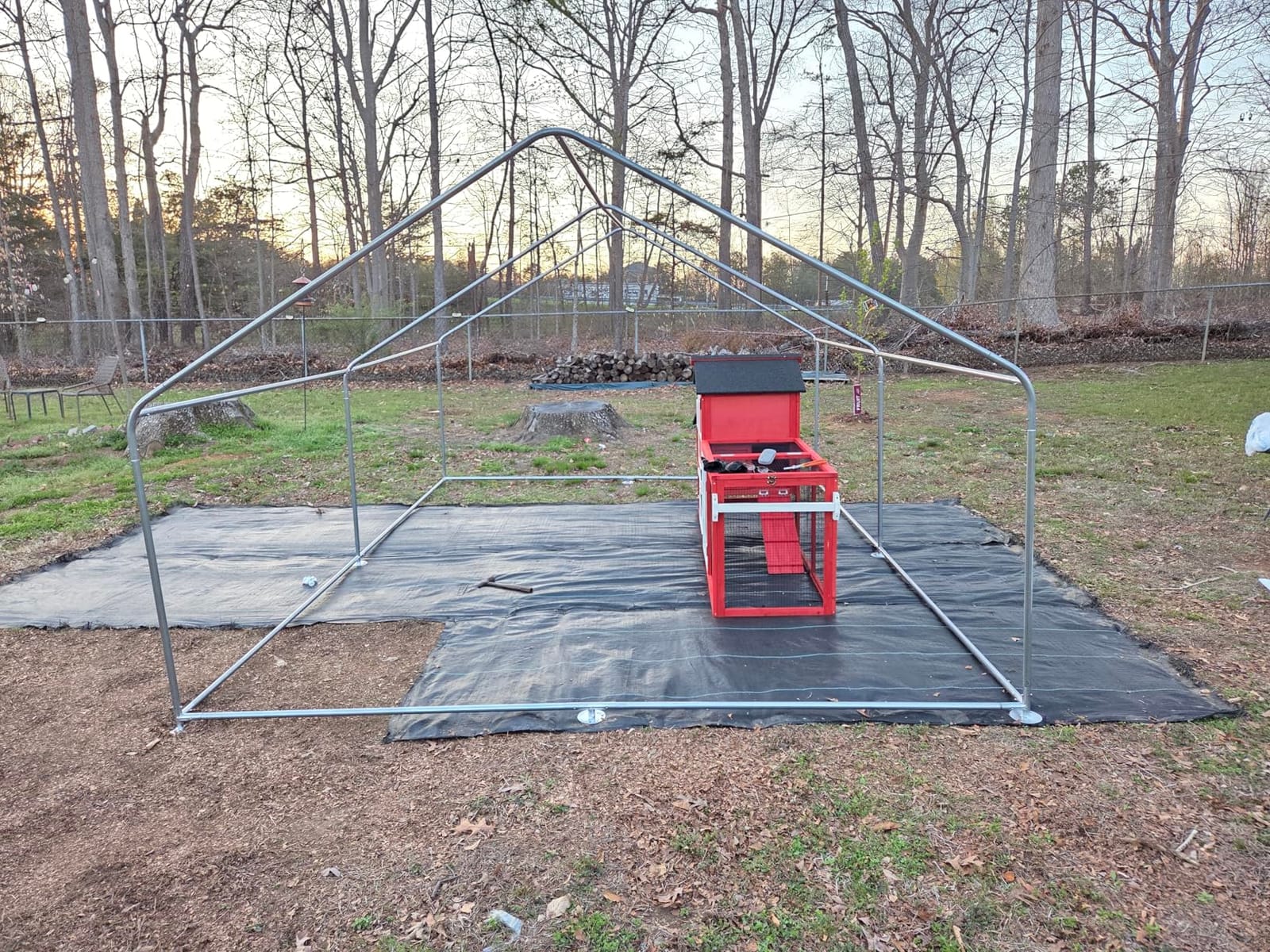 CHIKENCOOP 9.8 x 6.5 x 6.5 ft Metal Chicken Coop, Chicken Run with Cover | Walk-in outdoor enclosure with waterproof UV-resistant cover, reinforced frame, and 47 x 40 in eucalyptus perch customer photo 1