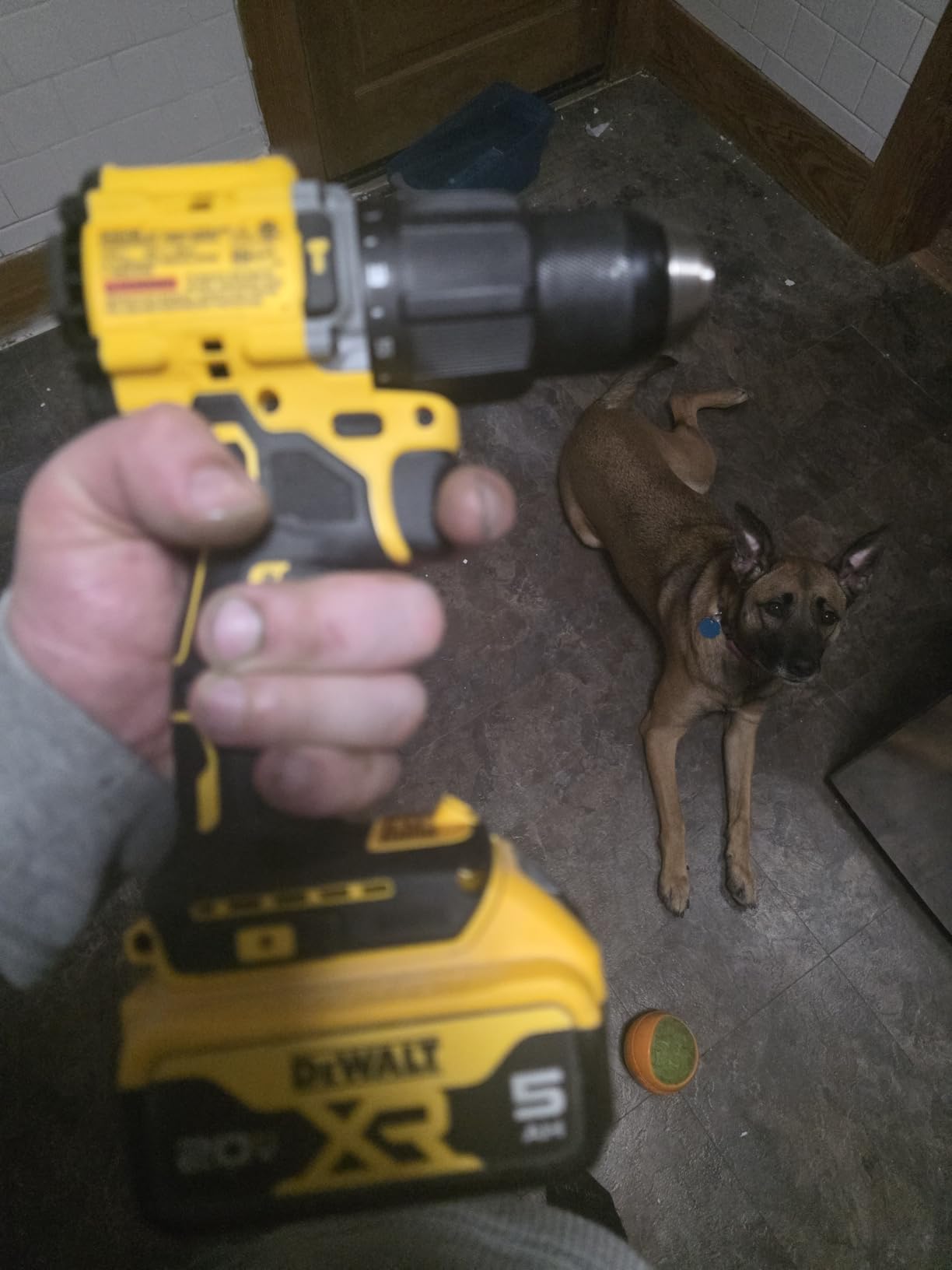 DEWALT DCD799B 20V MAX* ATOMIC COMPACT SERIES Brushless Lithium-Ion 1/2 in. Cordless Hammer Drill (Tool Only) customer photo 2