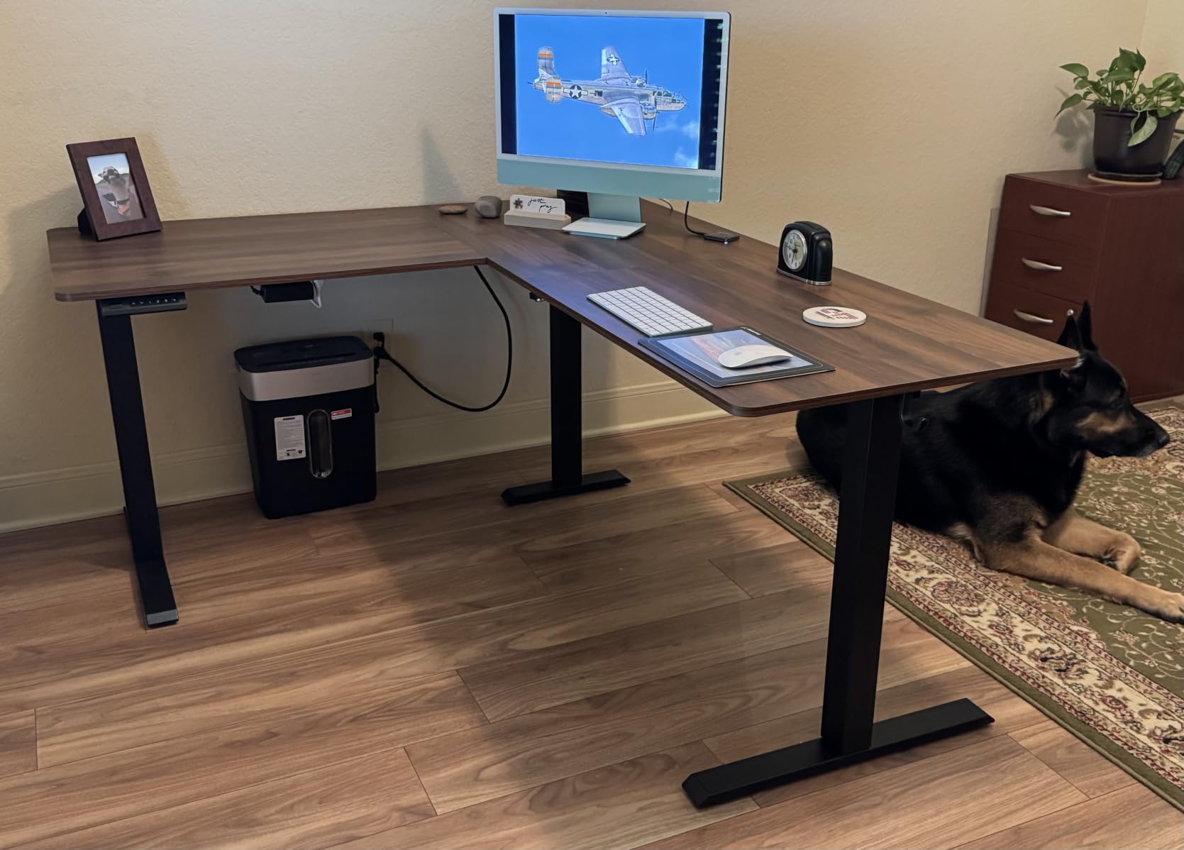 Cubiker L Shaped Standing Desk - 63 x 55 Inch Electric Adjustable Height Corner Standing Desk, Ergonomic Sit Stand Up Table with 3 Memory Buttons, Splice Board for Home Office, Black customer photo 2