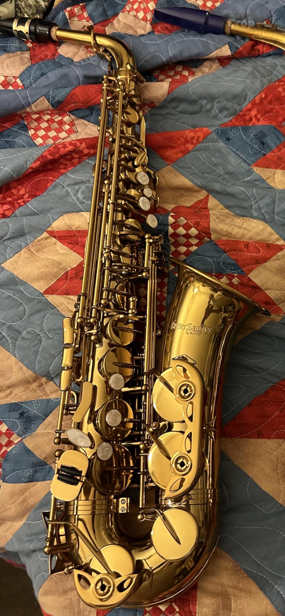 BetterSax Classic Alto Saxophone - Professional-Grade Instrument with Dark Gold Lacquer Finish - Complete Kit for Beginners and Pros customer photo 1