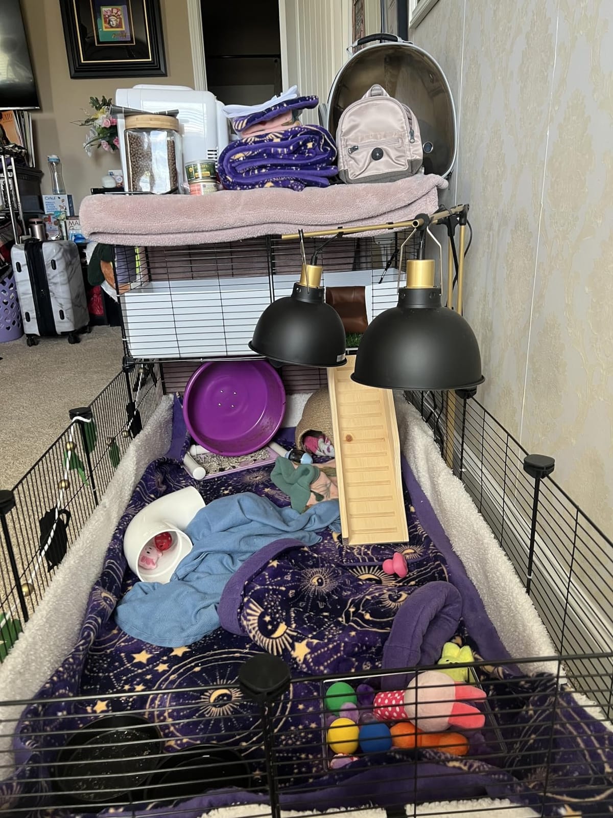 Oneluck Guinea Pig Cage, Indoor Habitat Cage with Waterproof Plastic Bottom, Playpen for Small Pet Bunny, Turtle, Hamster, Loft and Partition customer photo 1
