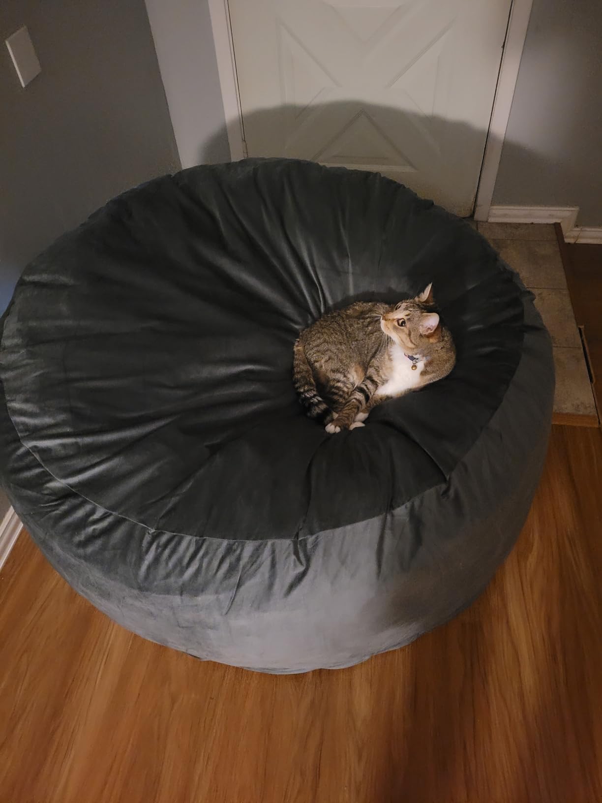 Bean Bag Chairs for Adults - Memory Foam Furniture BeanBag Chair - Kids/Teens Sofa with Soft Micro Fiber Cover - Round Fluffy Couch for Living Room Bedroom College Dorm - 4 ft, Grey customer photo 2