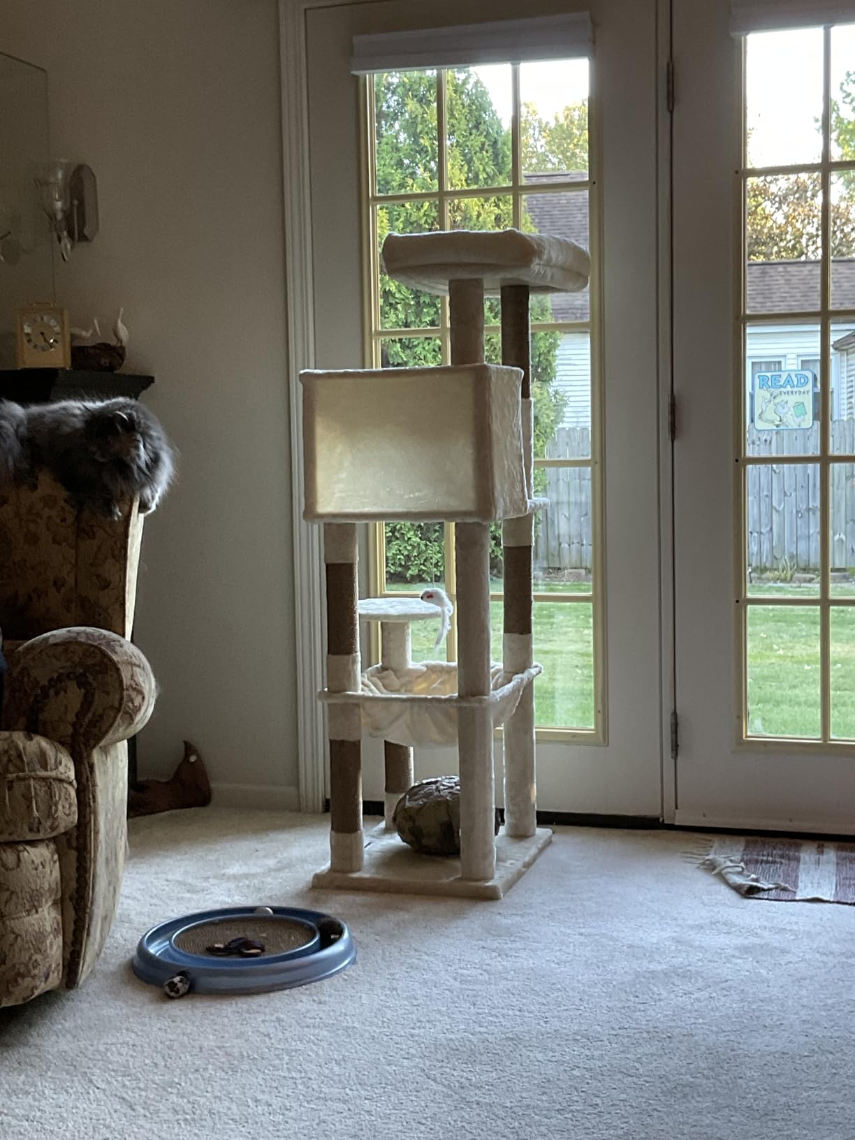 Globlazer Cat Tree Tower with Scratching Post for Indoor Cats, 53inch Tall Plush Multi-Level Cat Climbing Tower Condo House with Large Hammock, Spacious Cat Cave, Padded Top Perch Bed, F53, Light Gray customer photo 1