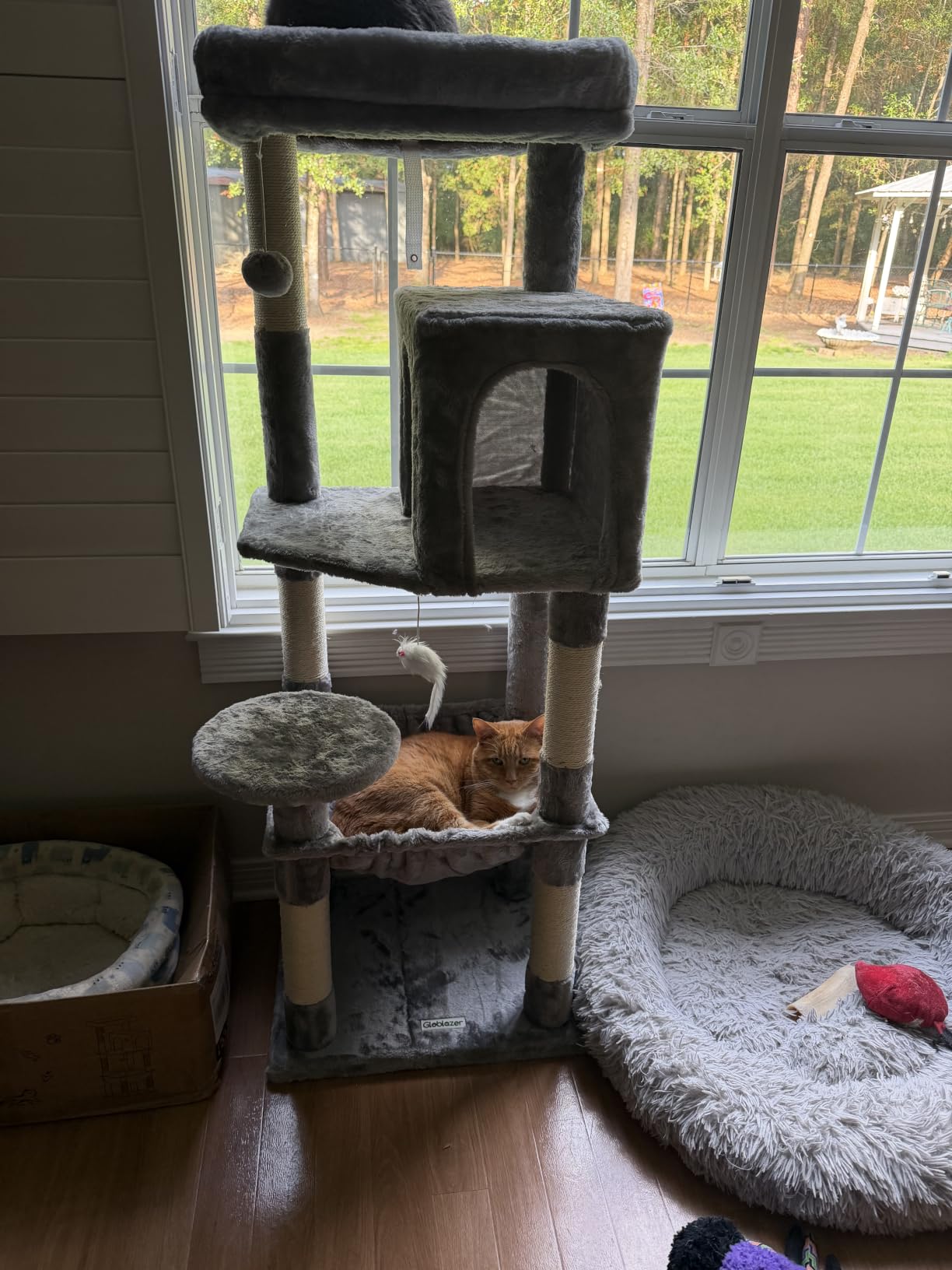 Globlazer Cat Tree Tower with Scratching Post for Indoor Cats, 53inch Tall Plush Multi-Level Cat Climbing Tower Condo House with Large Hammock, Spacious Cat Cave, Padded Top Perch Bed, F53, Light Gray customer photo 2
