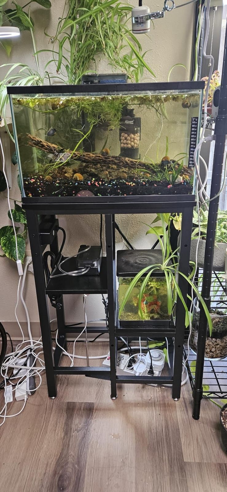 Bestier 20-29-37 Gal Fish Tank Stand with Power Outlet, Rustic Brown, 30x13 | 6-Leg Steel Frame, 3-Tier Adjustable Shelves for Filters Storage, 400Lbs Capacity, 5-In-1 Power Outlet, 4 Leveling Feet customer photo 1