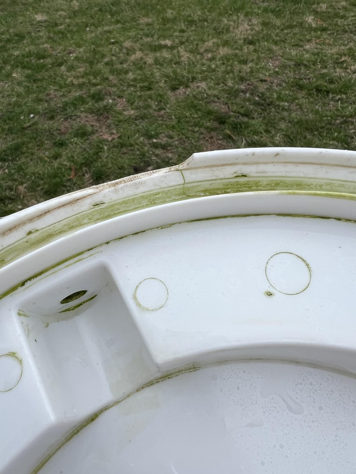 Poultry Pro Chicken Waterer for 5 Gallon Bucket (Bucket Not Included) | As Seen on Shark Tank, Hands-Free Gravity Fed Water for Chickens, Ducks & Small Birds, Poultry Waterer, Chicken Water Feeder customer photo 2