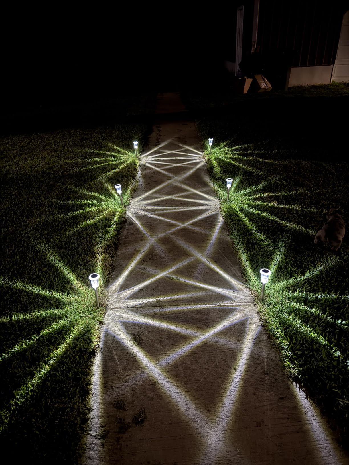 DenicMic Solar Halloween Lights Outdoor Waterproof 10 Pack Halloween Decor | Stake Lights for Yard Pathway Garden Patio Lawn Walkway Driveway, Auto On/Off Purple LED Halloween Decorations Outdoor customer photo 1
