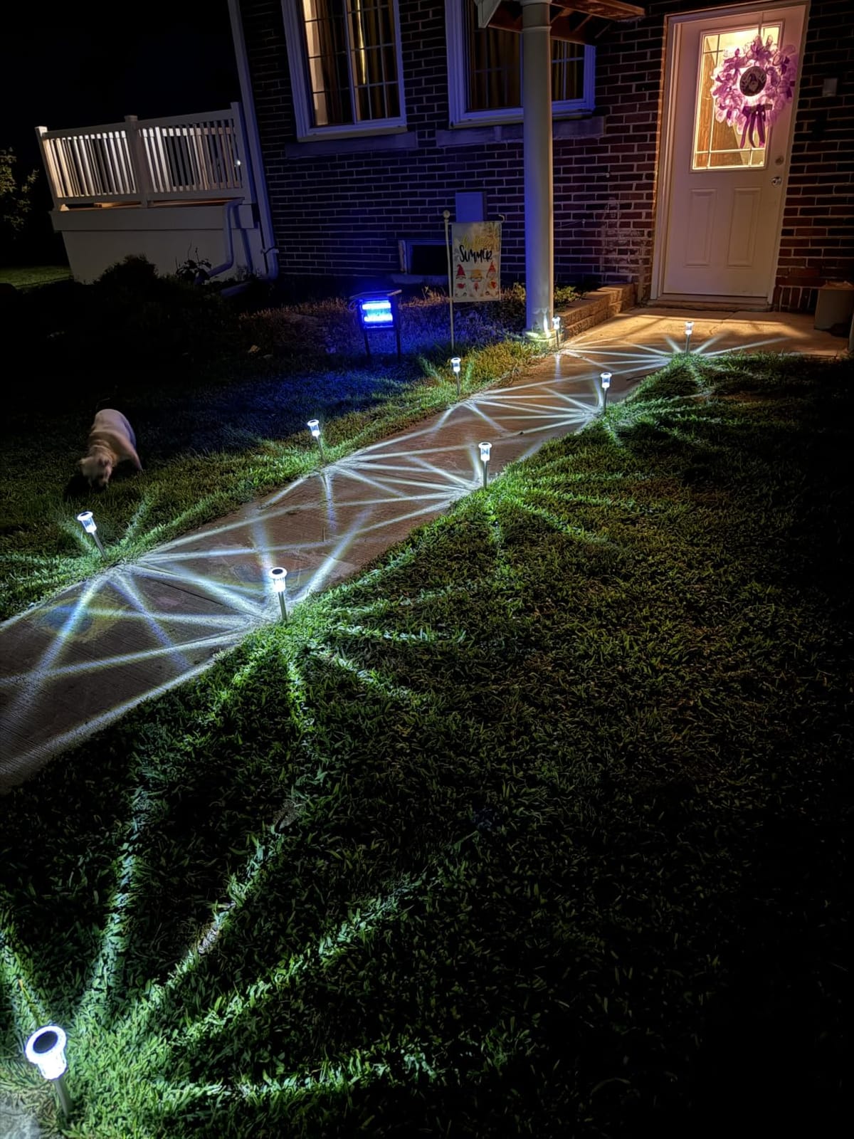DenicMic Solar Halloween Lights Outdoor Waterproof 10 Pack Halloween Decor | Stake Lights for Yard Pathway Garden Patio Lawn Walkway Driveway, Auto On/Off Purple LED Halloween Decorations Outdoor customer photo 2