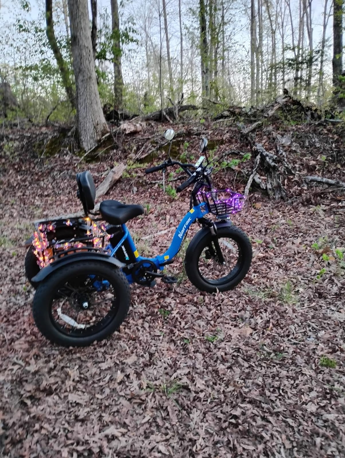 NARRAK Electric Tricycle for Adults, 750W(Peak 1350W), 48V13Ah Ebike, 20