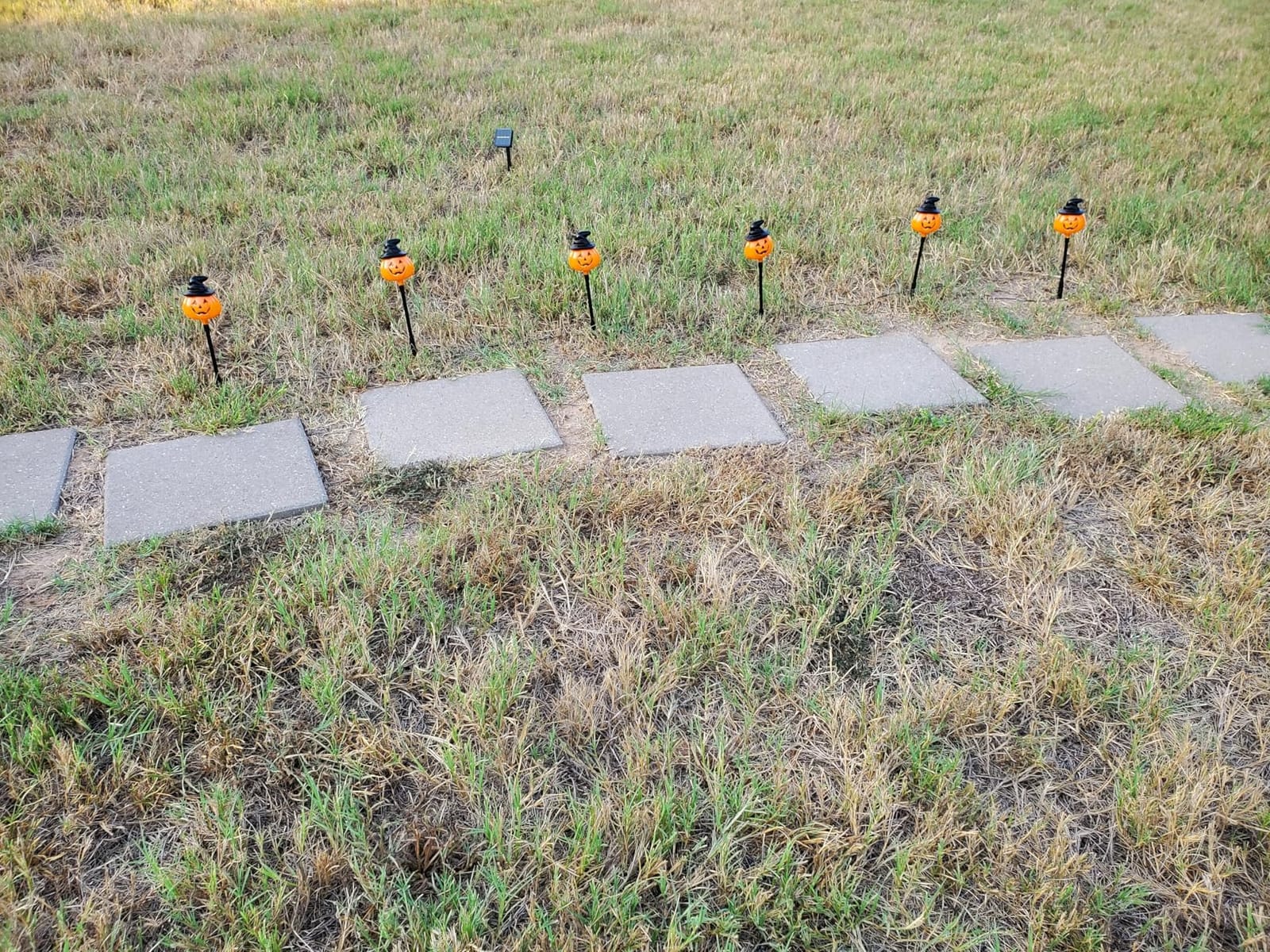 6 Pack Solar Jack O Lantern Stake String Lights - Orange Halloween Pathway Decor for Outdoor Halloween Yard Display customer photo 2