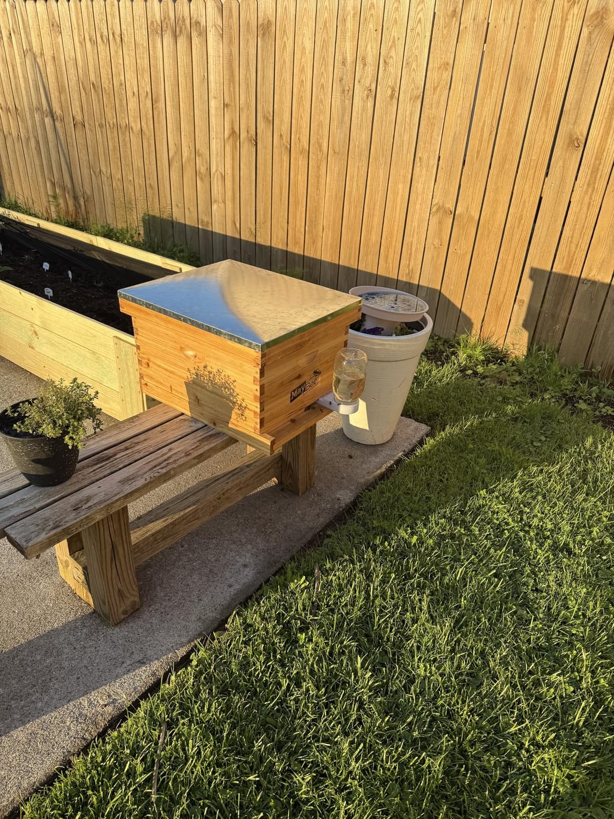 MayBee 8-Frame Beehive Starter Kit, Bee Hive Kit Dipped in Beeswax, Bee Hives Boxes Starter Kit Includes Beekeeping Supplies Tool Kit and Bee Suit customer photo 2