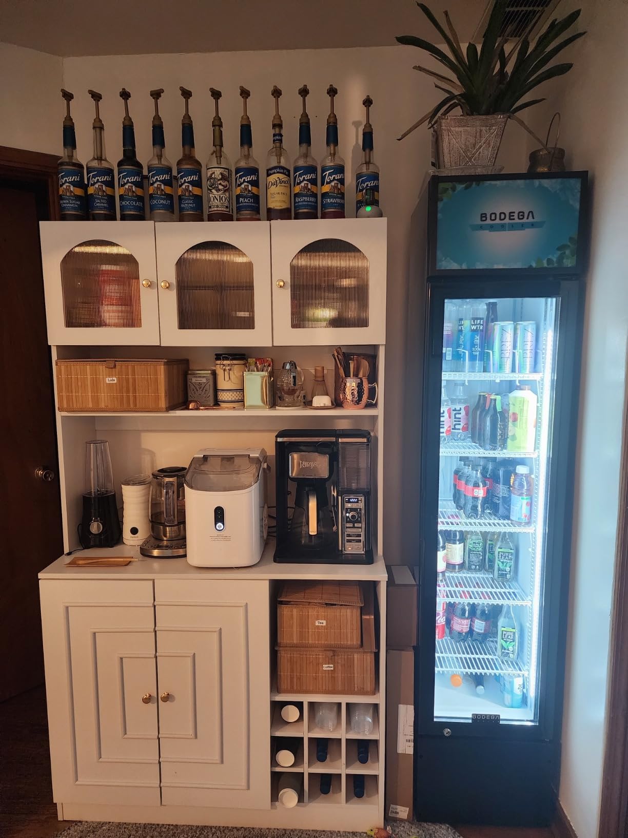 BODEGACOOLER Commercial Refrigerator, 27.02Cu.Ft Glass Door Beverage Cooler | Upright Double Door Merchandiser Display Refrigerator with Soft LED Light, Adjustable Shelves, 4 Heavy-Duty Casters customer photo 1