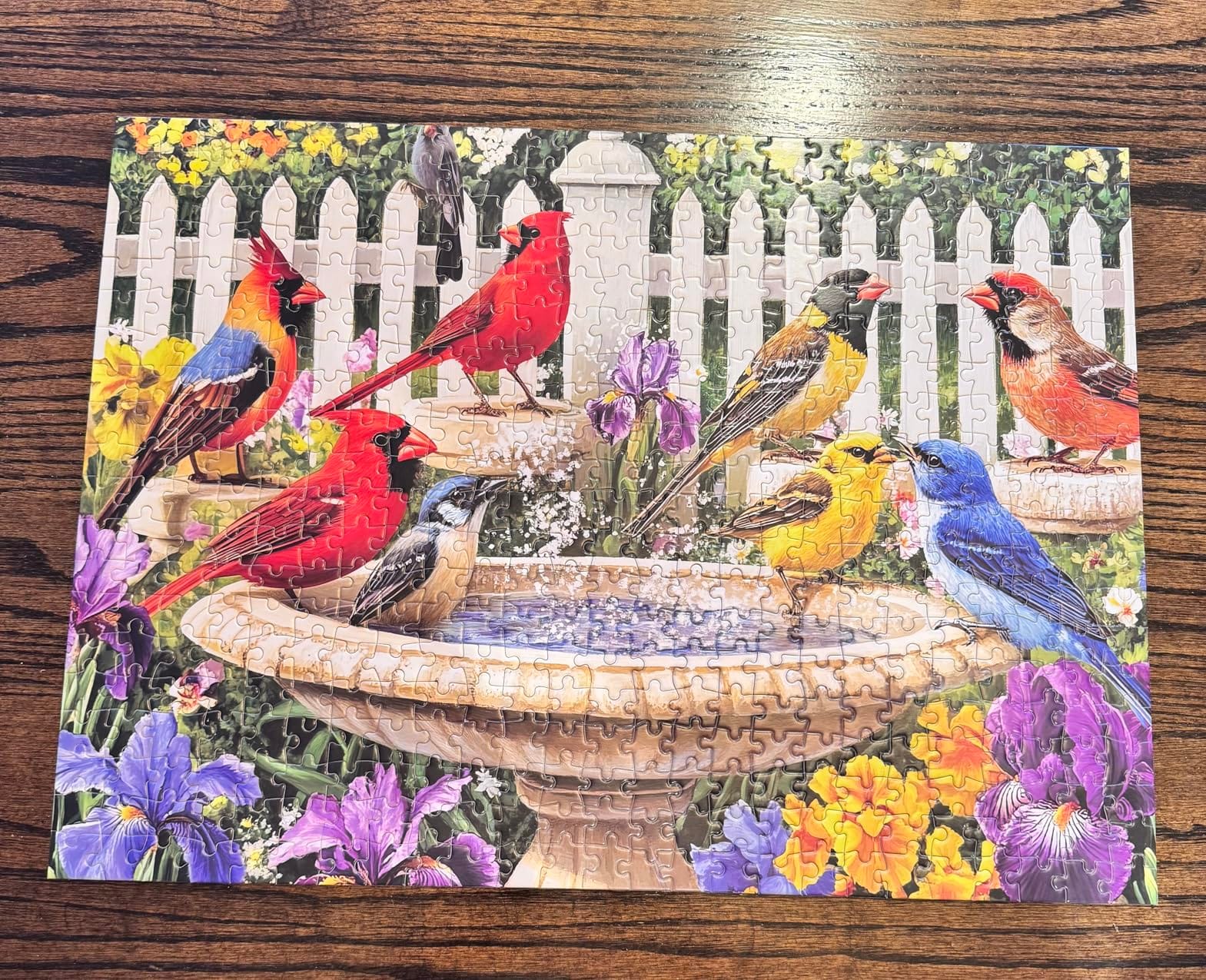 500 Pieces Puzzle for Adults,Birds Bath Flower Fence Puzzle,Recycled Cardboard Animals Jigsaw Puzzle 500 Pieces,Challenging Game Home Decor Birthday Party Gift Toy for Adults Seniors 20.5 * 15 in customer photo 1