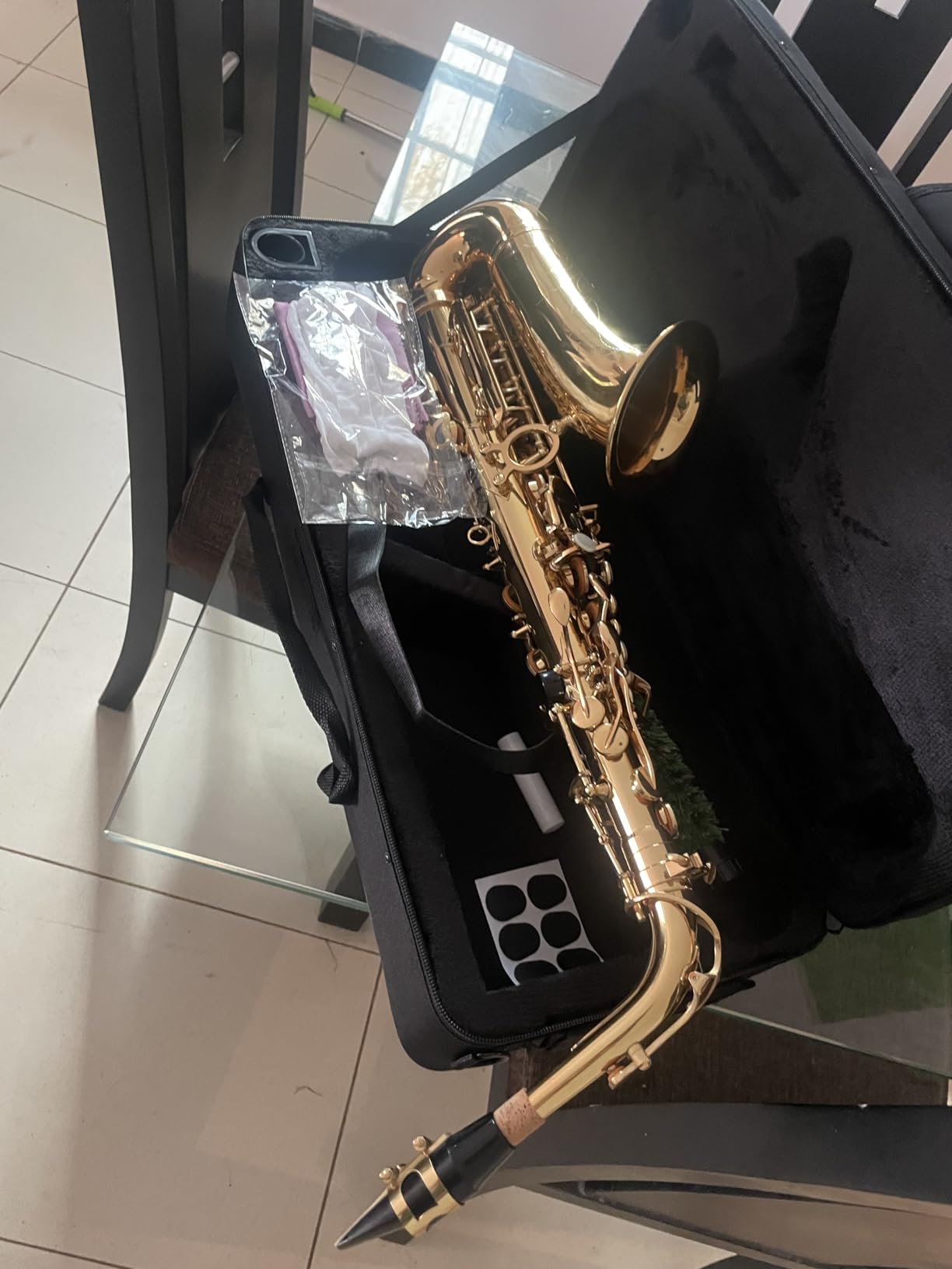 Beginner Alto Saxophone, E Flat - Complete Starter Kit with Case & 10 Reeds, for Adults & Students, Easy to Play for School Band & Practice (Gold) customer photo 1