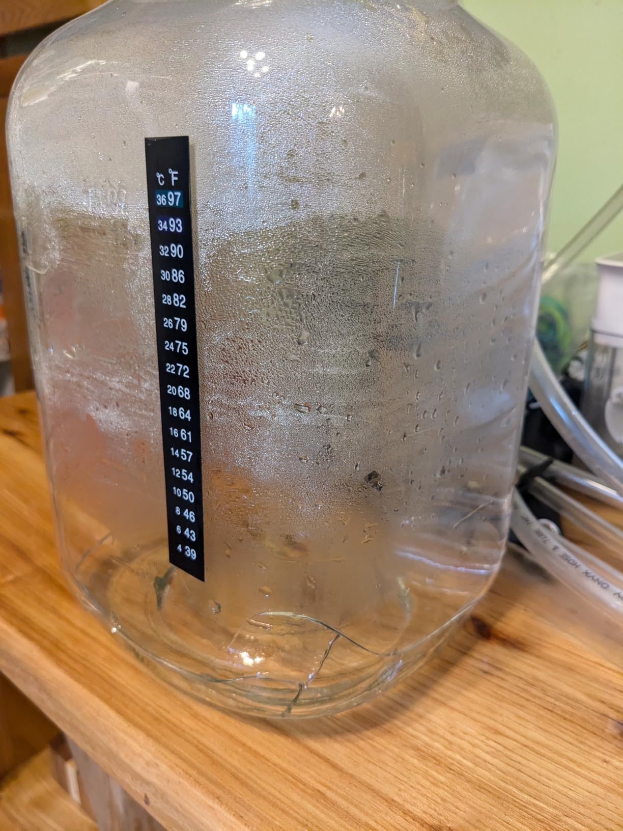 Glass Fermentation Jar Large Pickle Jar Kimchi Containers for Kumbucha Mead | 1.5 Gal, 4.3