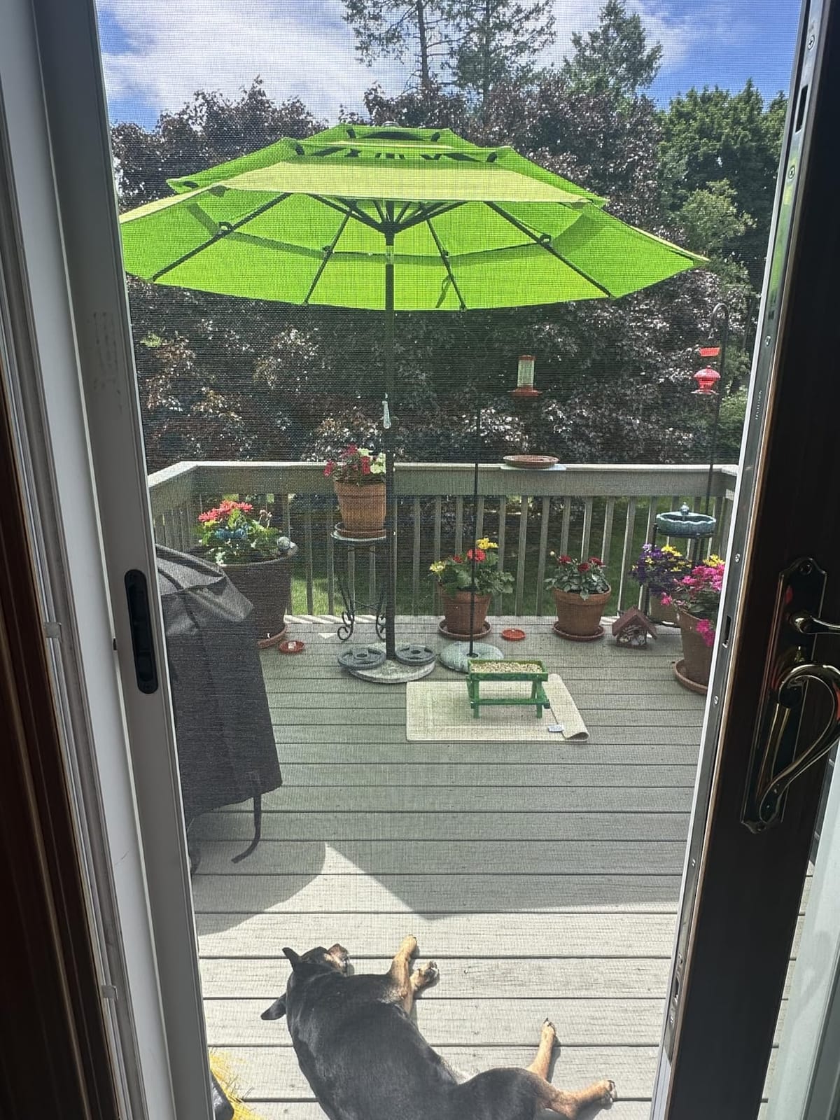 HOMSHADE 9FT 3-Tier Patio Umbrella, Vented Outdoor Market Table Umbrella | 5-year fade resistant commercial canopy with UPF50+ UV protection. Push button tilt & crank for pool, backyard, deck shade customer photo 1