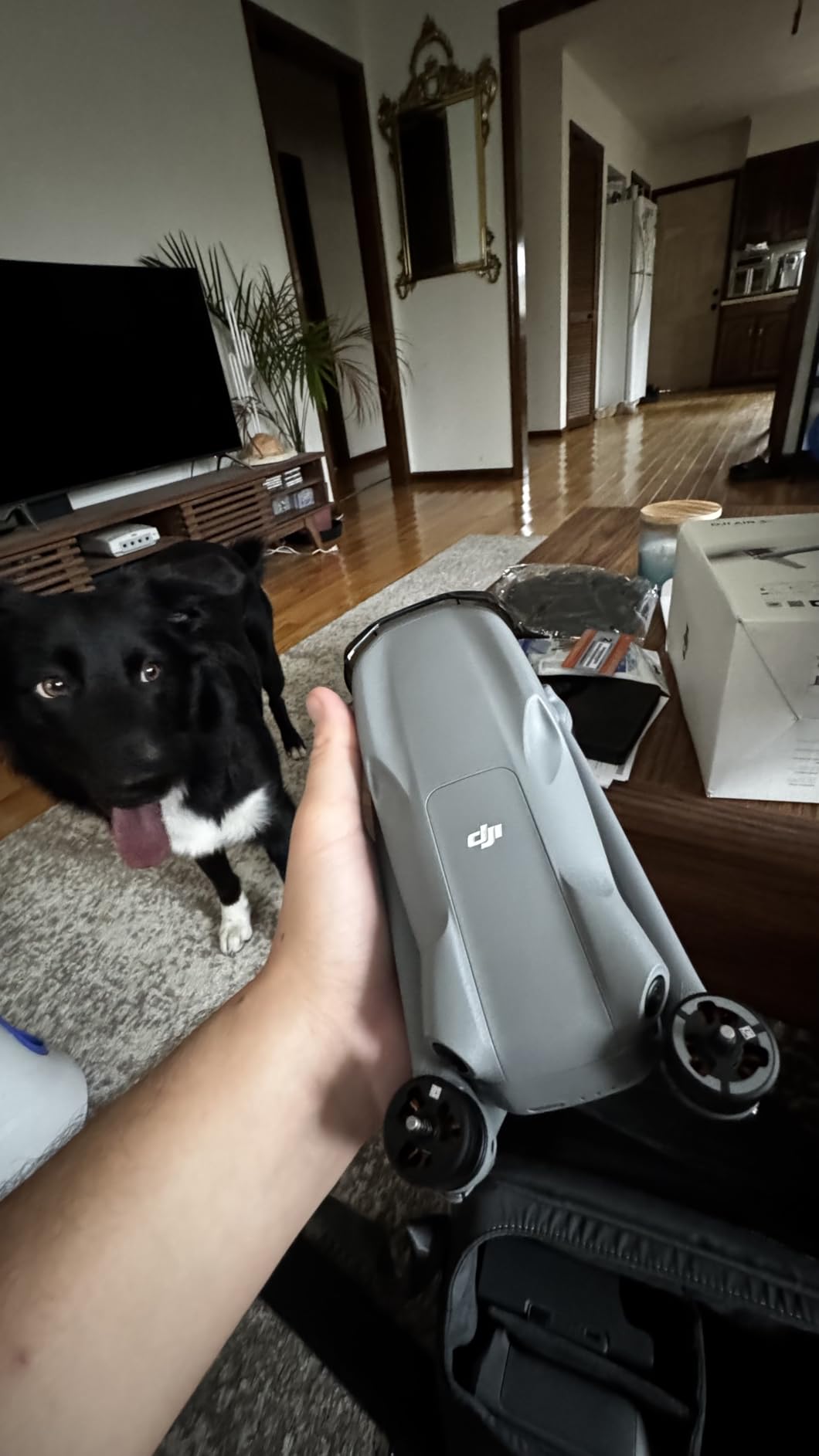 DJI Air 3S Drone with RC 2 Fly More Combo (with Screen) 4K HDR, 45-Min Max Flight Time Bundle with 128GB Memory, Landing Pad, Backpack, CPS 2 Year Warranty, Lens Cleaning Kit and More customer photo 1
