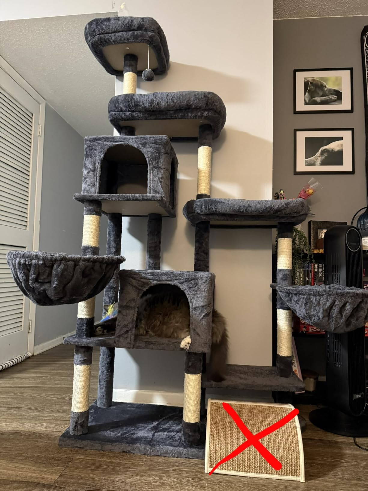 Hey-brother Cat Tree Tower with Stable Extended Base, 3 Platforms, MPJ038W | 70.9 Inches Multi-Level Sisal Scratching Posts, Wide Bed, 2 Cozy Condos, 2 Hammocks, Toy Balls for Indoor Cats, Light Gray customer photo 2