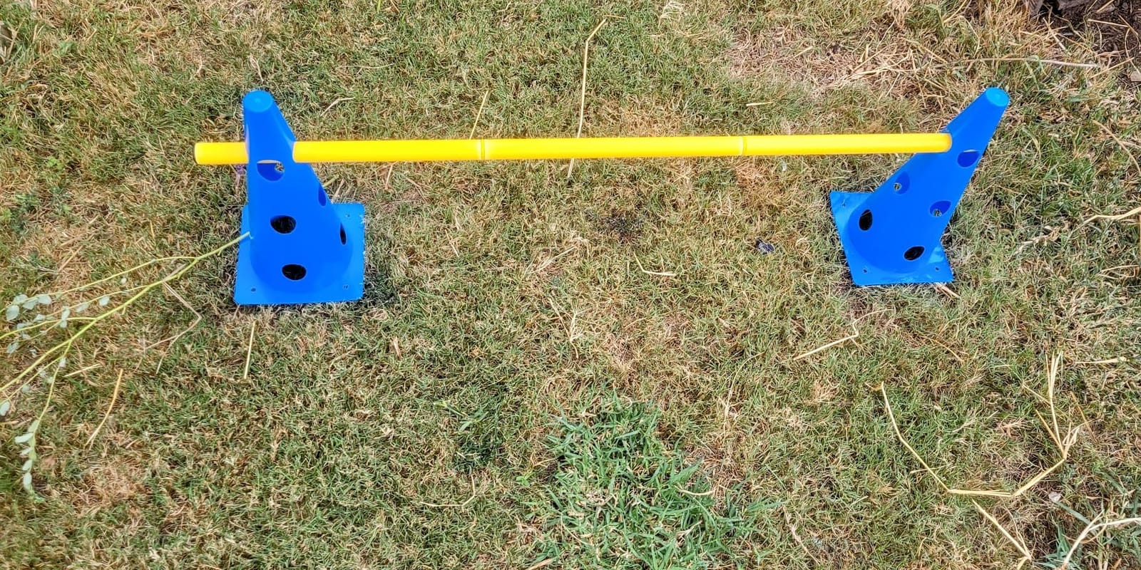 Dog Agility Course Backyard Set, Dog Agility Hurdle Cone Set with Height Adjustable Crossbar for Rehabilitation & Beginners, Dog Agility Equipment for Dog Obstacle Course - 12 Inch customer photo 2
