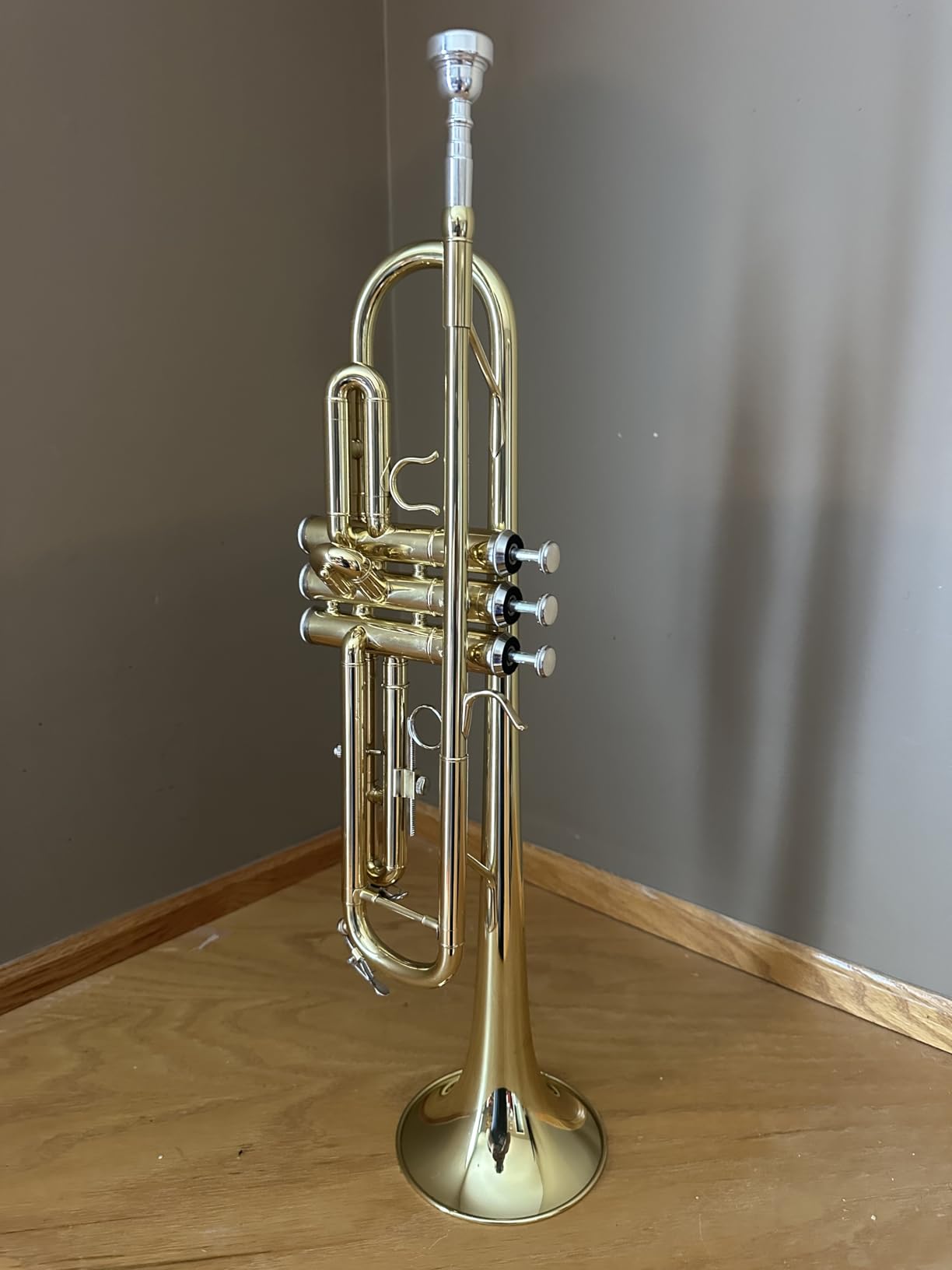 ALLSET Bb Standard Trumpet for Beginners | Student Band, Orchestra, Pro Level Performance | Professional Brass Trumpet Kit with Hard Case, 7C Mouthpiece & Cleaning Kit | Advanced Students Silver customer photo 2