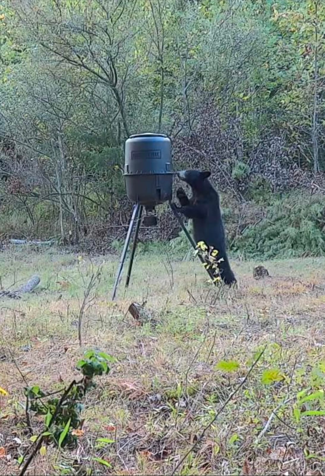 Moultrie 250 Lb Pro Hunter III Tripod Feeder - Bluetooth App Control | Bluetooth App Control, pairs with Edge 3, 10 daily feed times, large 250 lb capacity, solar ready, easy programming customer photo 2
