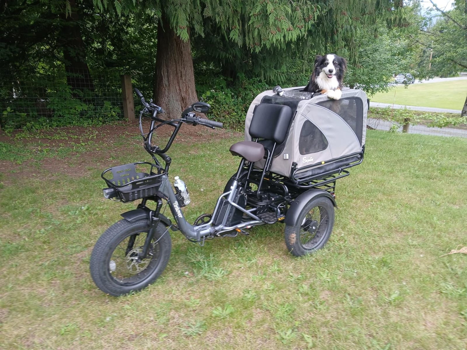 Folding Electric Tricycle for Adults 2 Seater, 20MPH 100 Miles 4