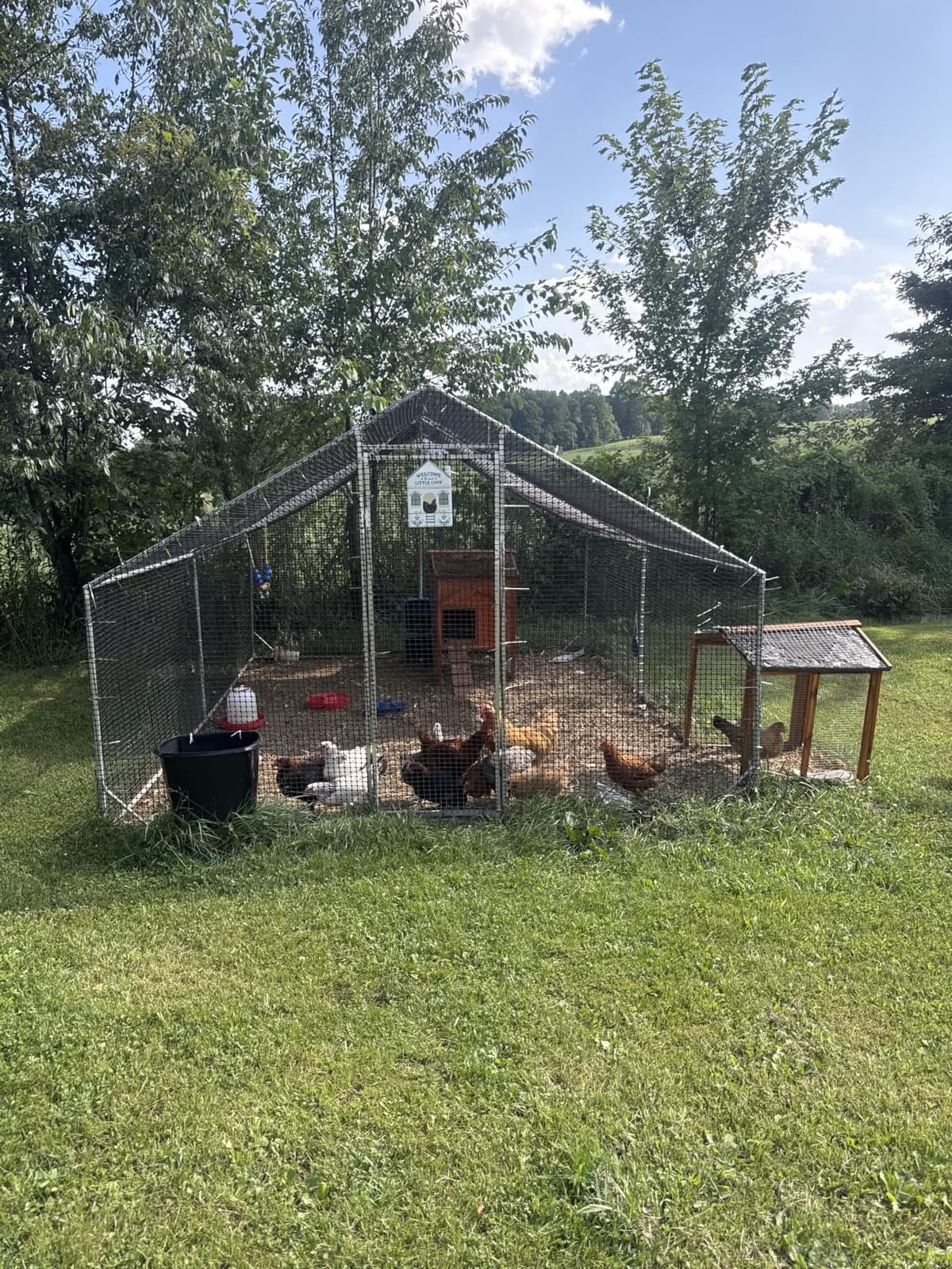 CAMMOO Walk in Chicken Coop, 13.1x9.8x6.6ft Chicken Run for Yard with Cover | Upgrade Double Lock & Mesh, Stainless Steel Ties, Easy Assembly, Chicken Pen for Ducks, Rabbits customer photo 1