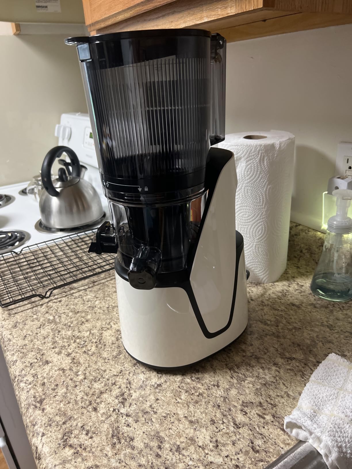 EanOruus Juicer Machines, 3-in-1 Cold Press Juicer, Premium Gray | Makes Juice, Nut Milk & Sorbet, 6.5