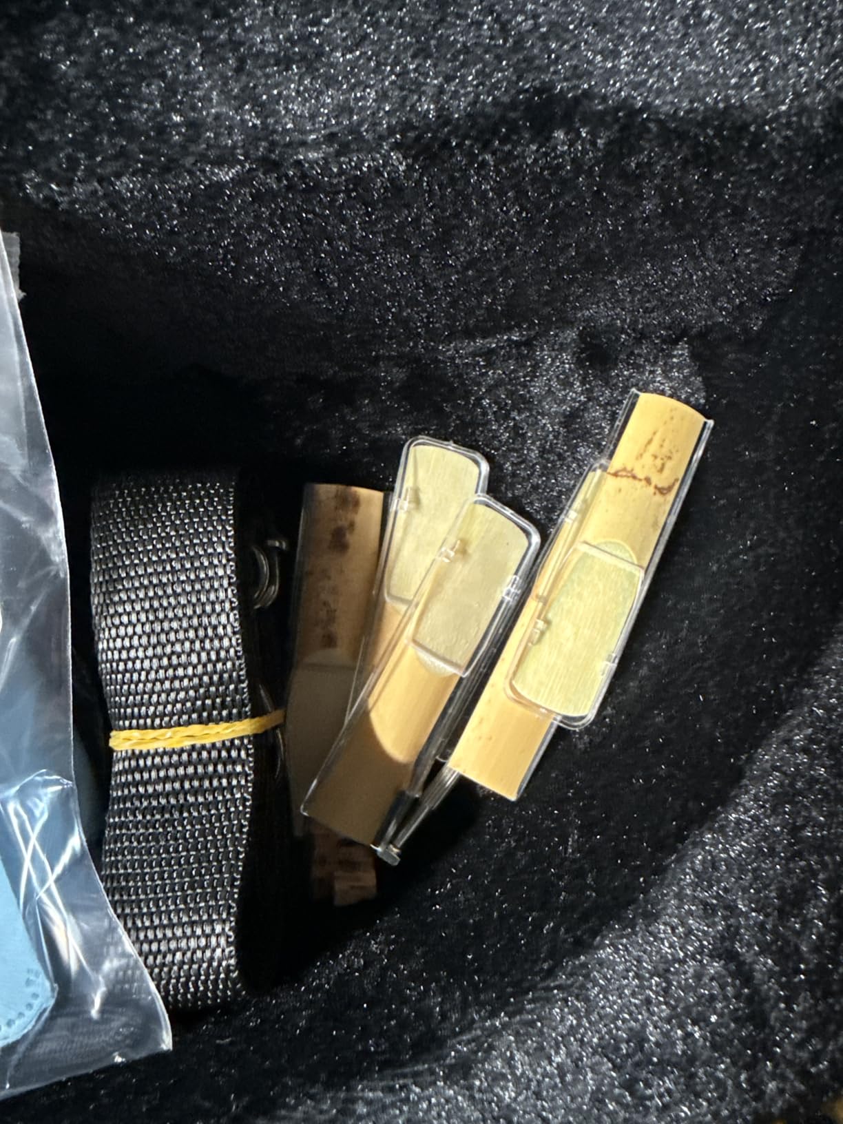 SONICAKE Alto Saxophone E Flat - Beginner Friendly Gold Saxophone Full Kit for Students with Carry Case, Mouthpiece, Reeds & Accessories QSX-01 customer photo 1