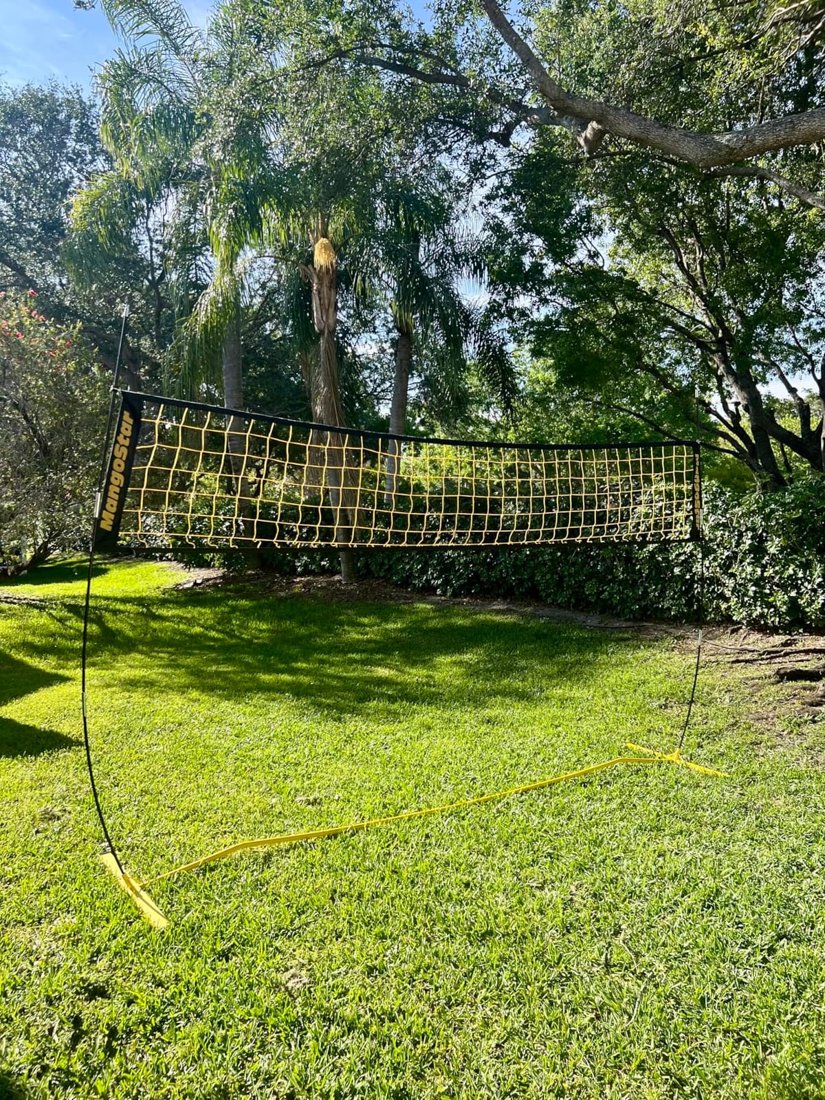 MangoStar Volleyball Net, 12ft/20ft Portable Volleyball Net for Backyard Beach, Adjustable Height, Freestanding Volleyball Net with Carry Bag for Indoor&Outdoor, Professional Net for Hitting&Serving customer photo 2