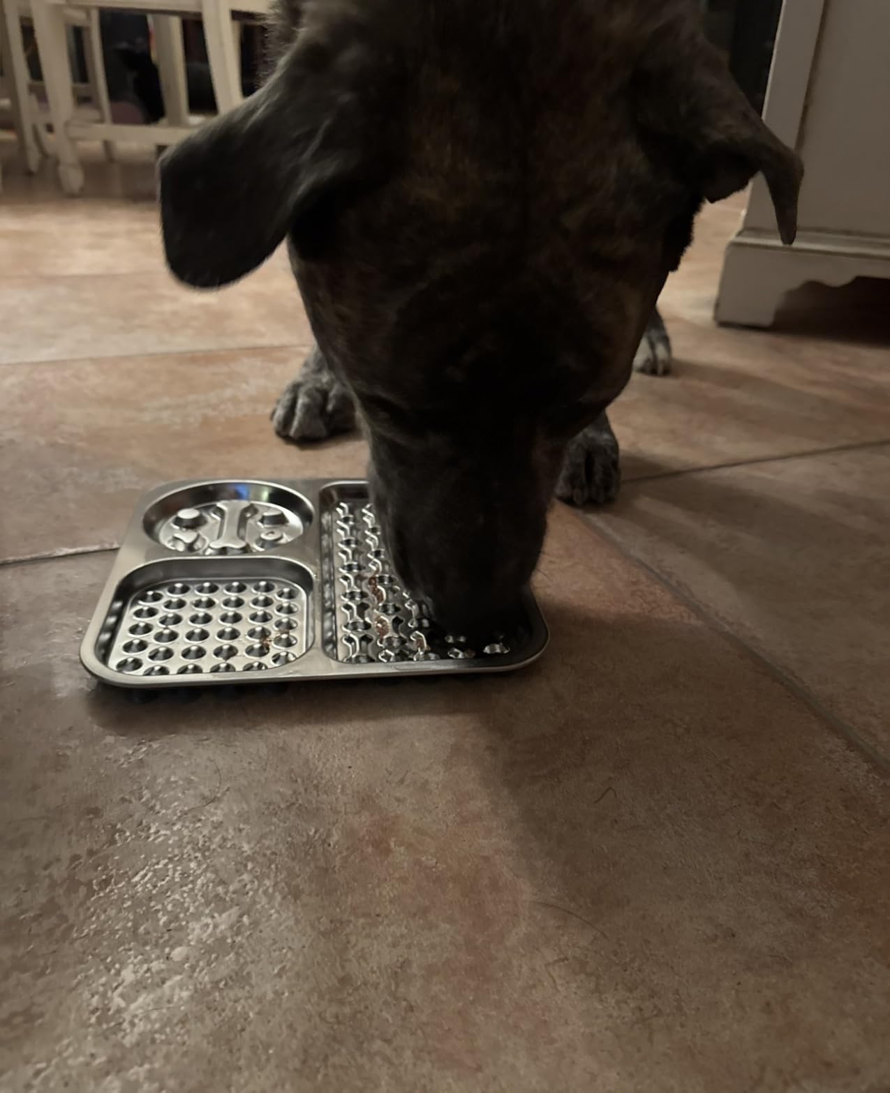 Stainless Steel Lick Mat for Dogs and Cats - FEELNEEDY Large Licking Pad with Suction Cups, Chew-Proof, Non-Slip Pet Licky Mat for Boredom Reducer and Anxiety Relief, Easy to Clean (1Pack) customer photo 2