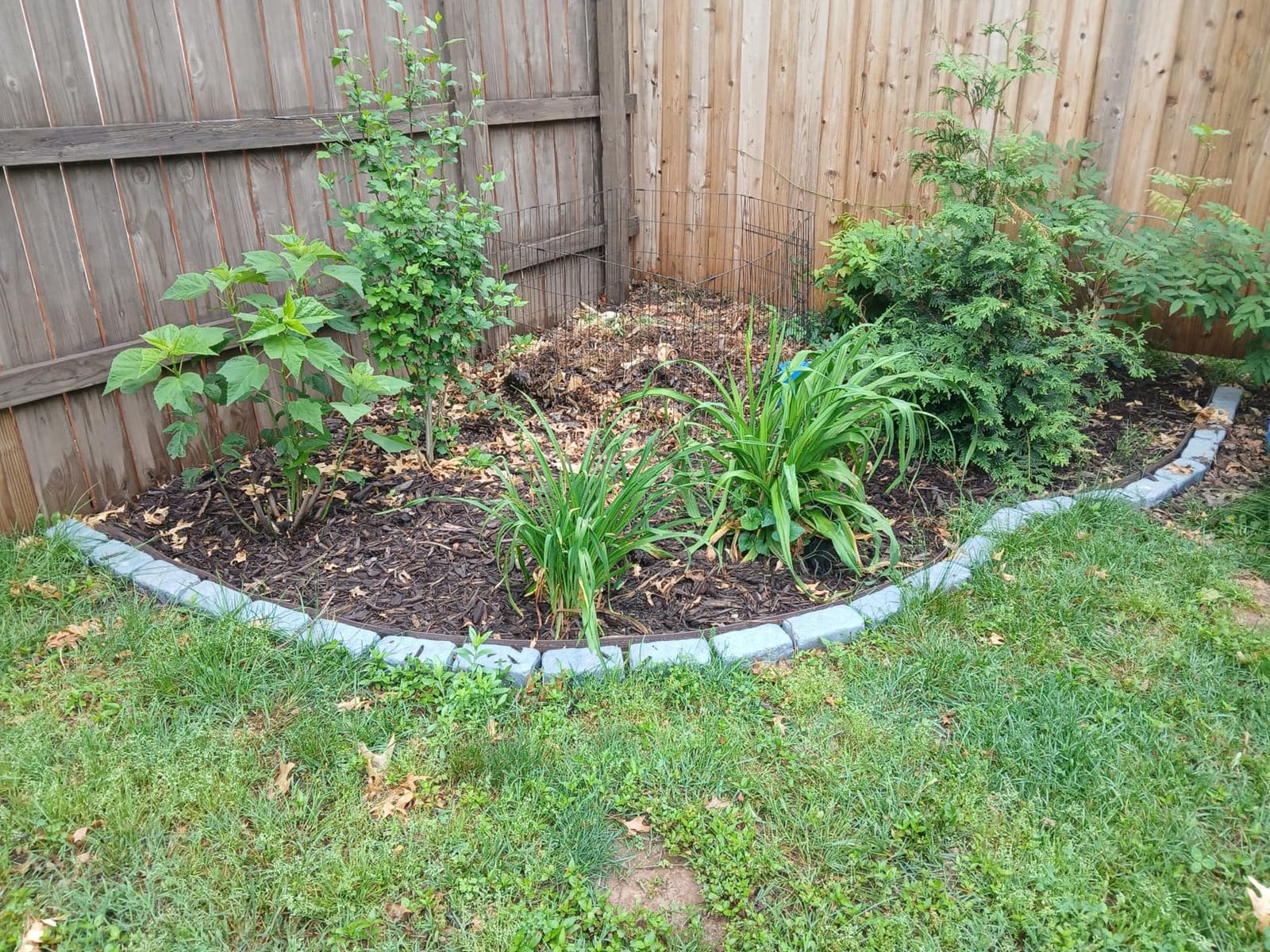 Landscape Edging Stone for Lawn Edging,12 Pack 24 Bricks 15.5FT Kit customer photo 1