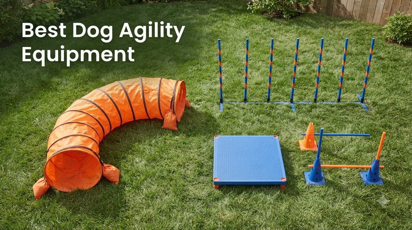 12 Best Dog Agility Equipment (August 2026) Tested Picks