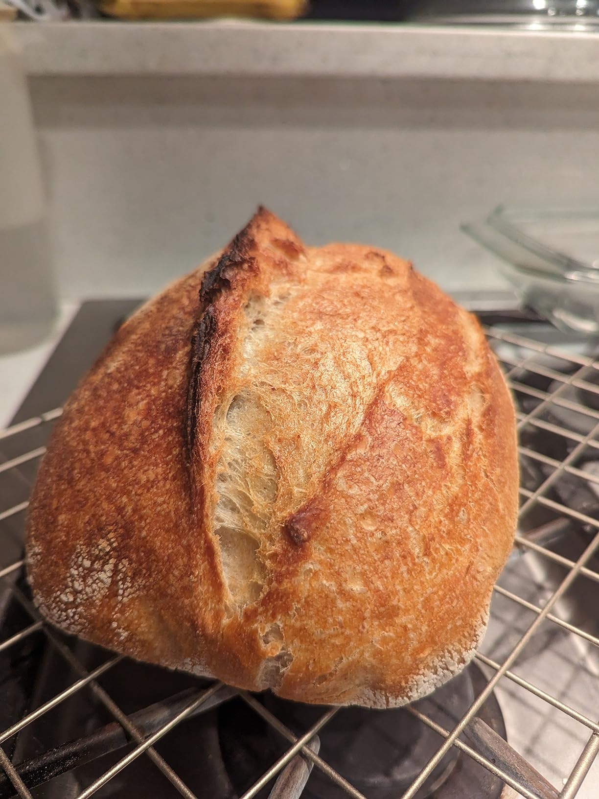 The Perfect Loaf: The Craft and Science of Sourdough Breads, Sweets, and More: A Baking Book customer photo 2