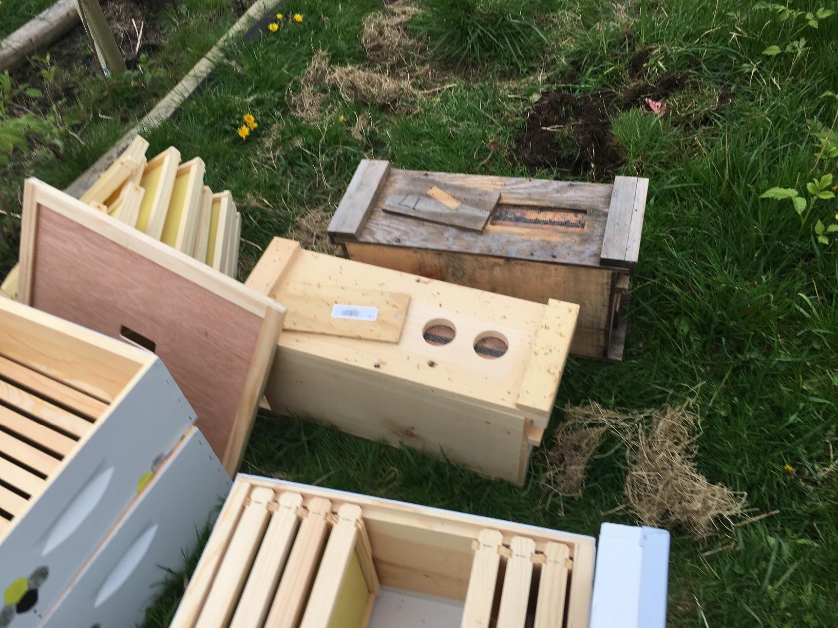 The Backyard Beekeeper, 5th Edition: An Absolute Beginner's Guide to Keeping Bees in Your Yard and Garden customer photo 1