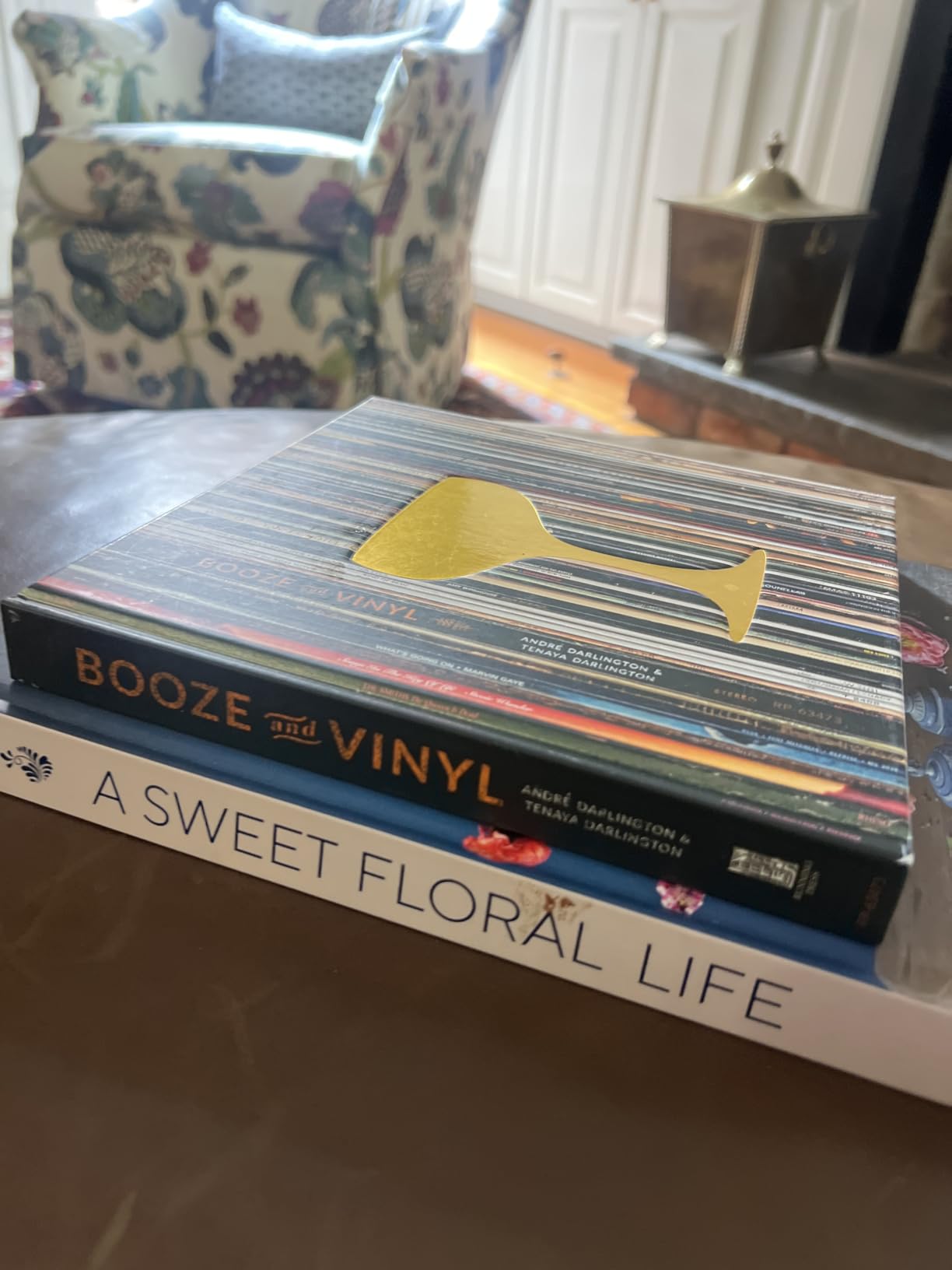 Booze & Vinyl: A Spirited Guide to Great Music and Mixed Drinks customer photo 2